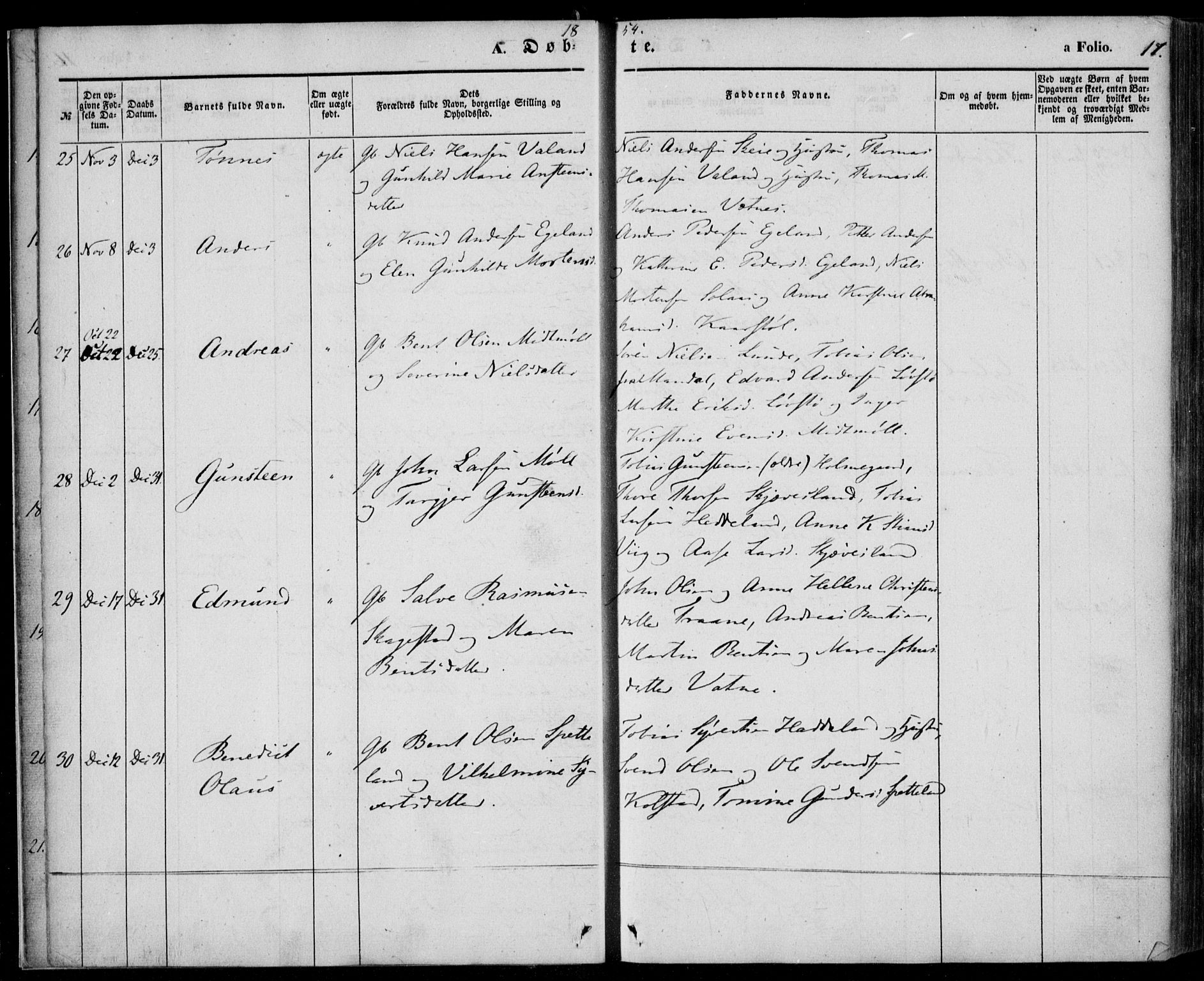 Holum sokneprestkontor, AV/SAK-1111-0022/F/Fa/Faa/L0005: Parish register (official) no. A 5, 1850-1864, p. 17