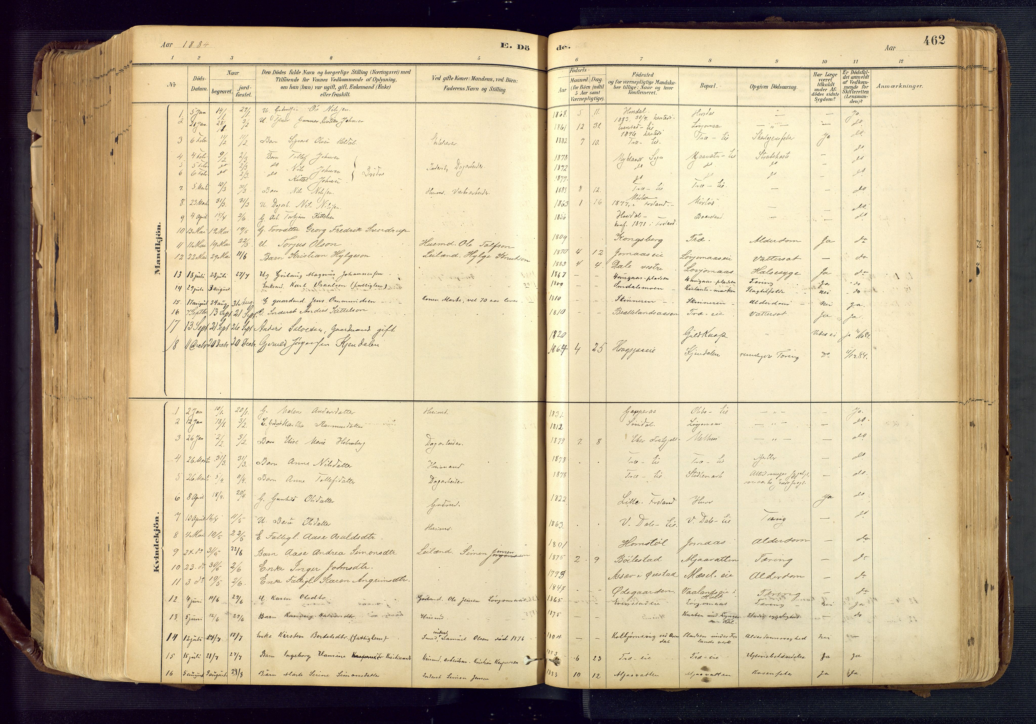 Froland sokneprestkontor, AV/SAK-1111-0013/F/Fa/L0005: Parish register (official) no. A 5, 1882-1921, p. 462