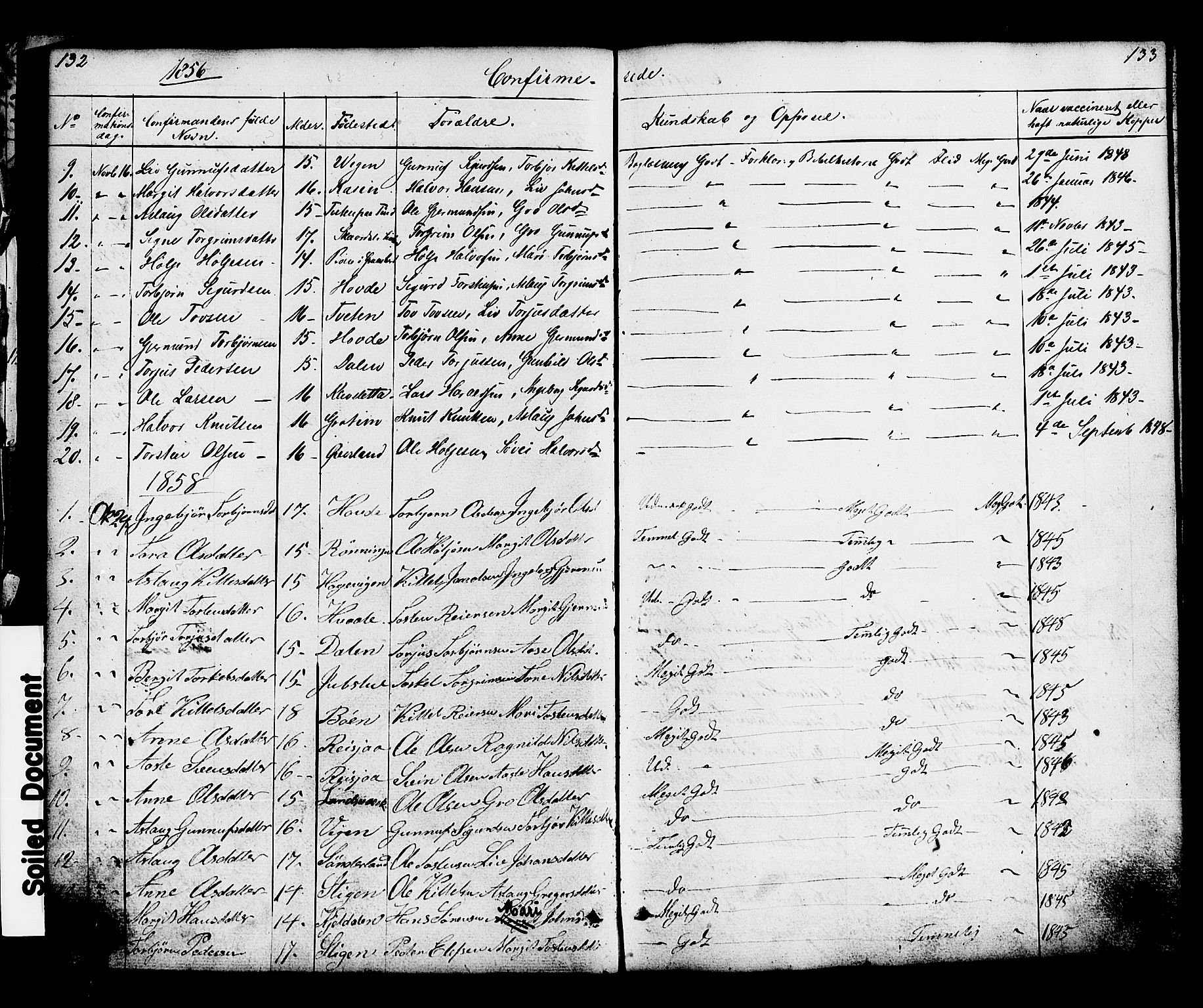 Hjartdal kirkebøker, SAKO/A-270/G/Gc/L0002: Parish register (copy) no. III 2, 1854-1890, p. 132-133
