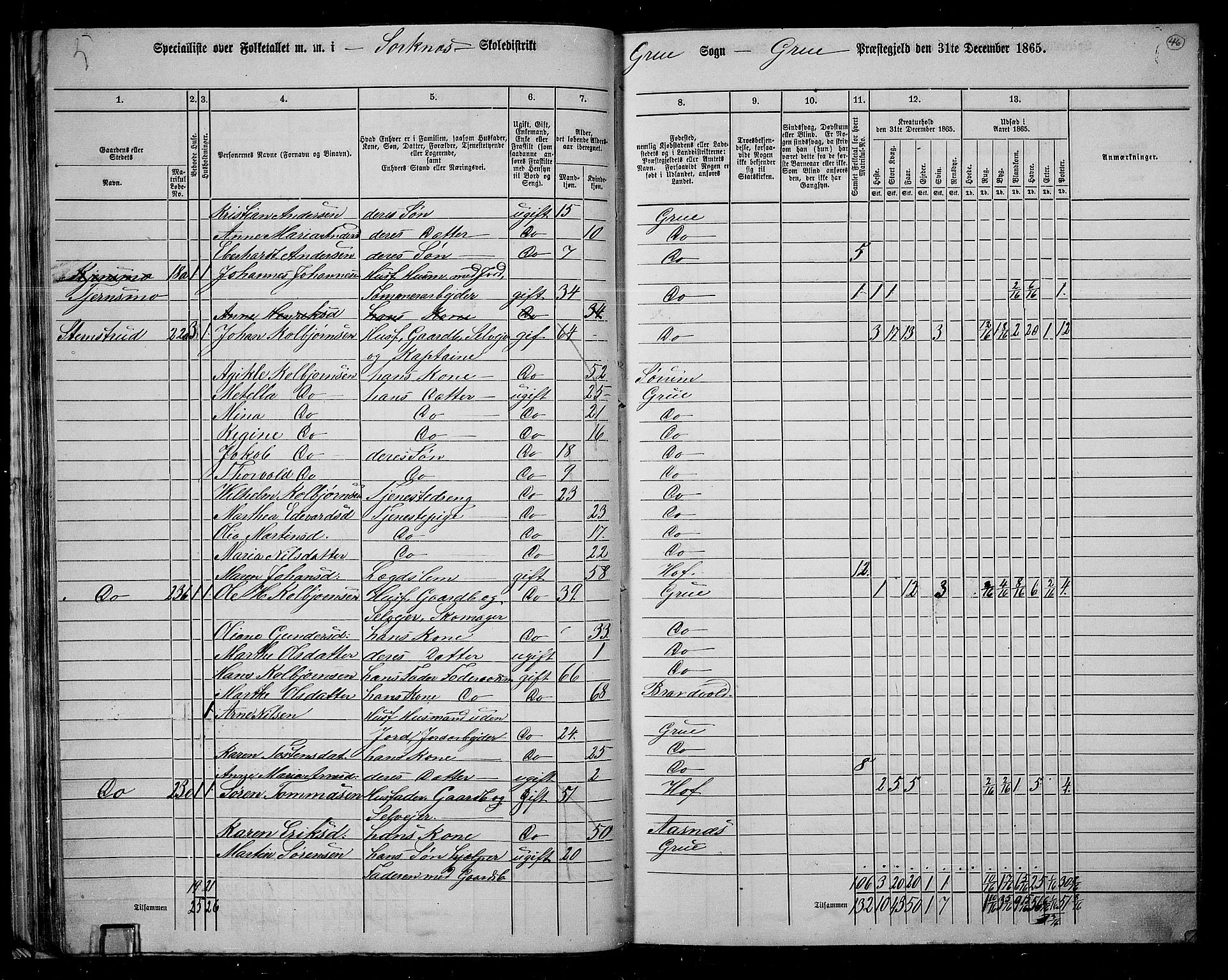 RA, 1865 census for Grue, 1865, p. 45