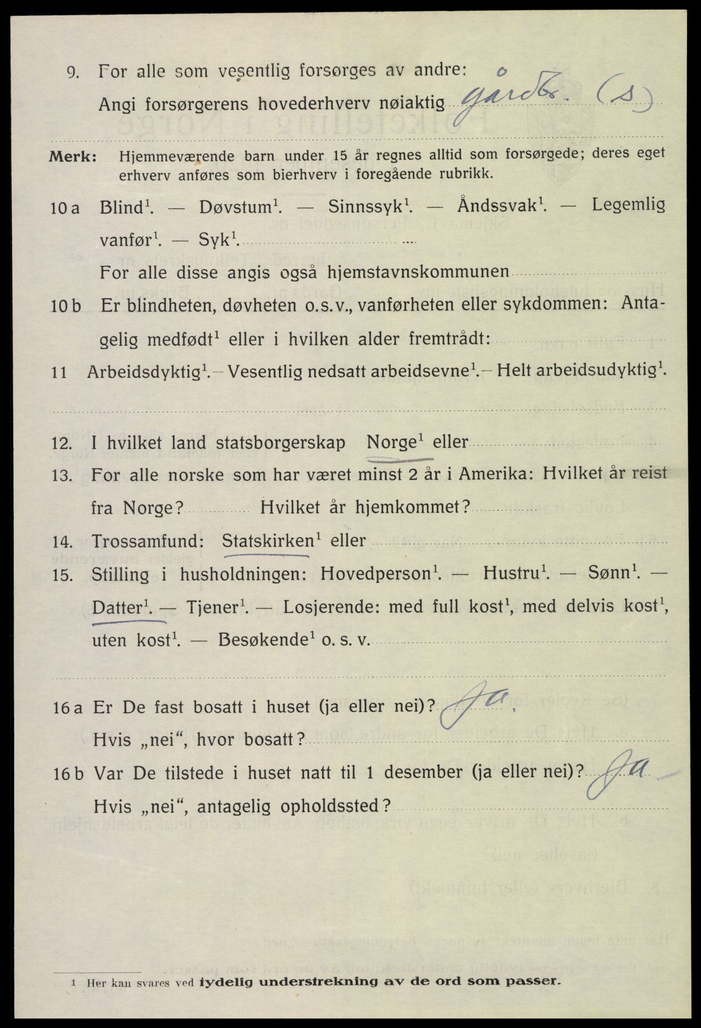 SAH, 1920 census for Vang (Hedmark), 1920, p. 19396