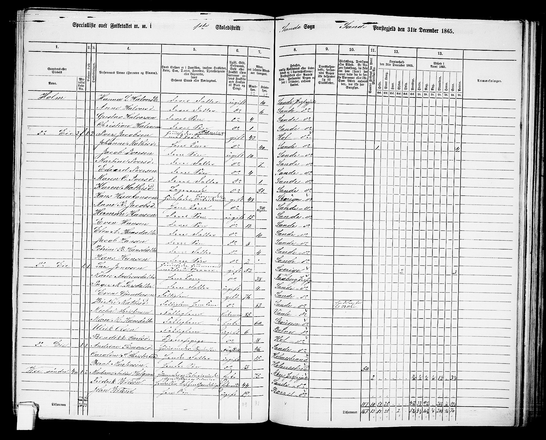 RA, 1865 census for Sande, 1865, p. 13
