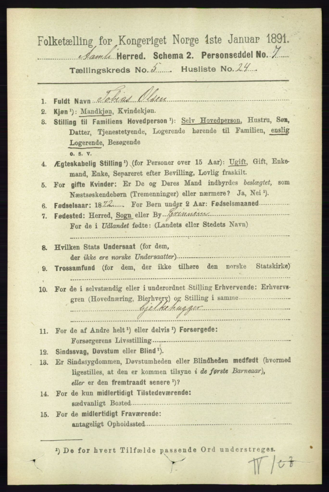 RA, 1891 census for 0929 Åmli, 1891, p. 849