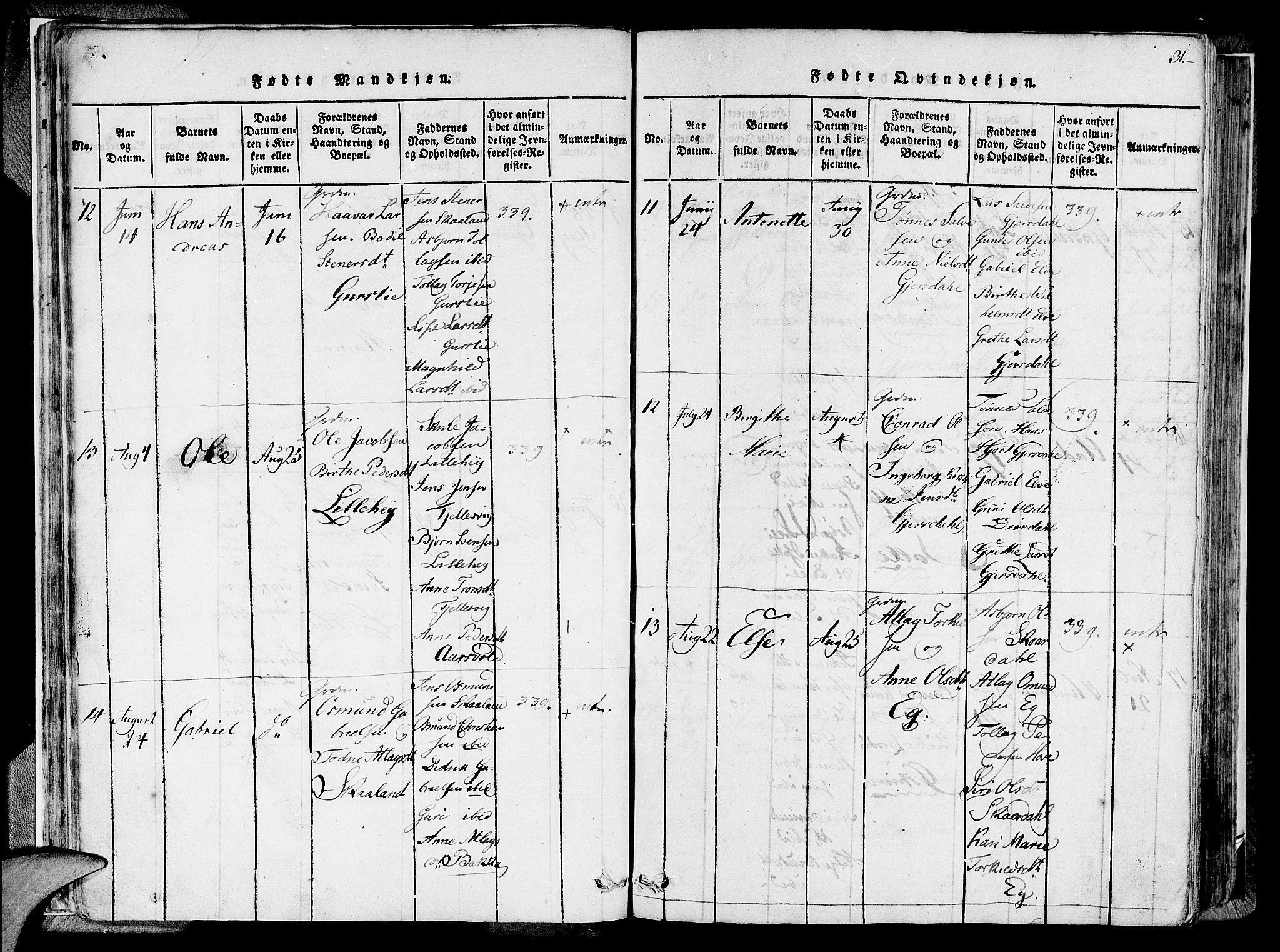 Lund sokneprestkontor, AV/SAST-A-101809/S06/L0005: Parish register (official) no. A 5, 1815-1833, p. 31