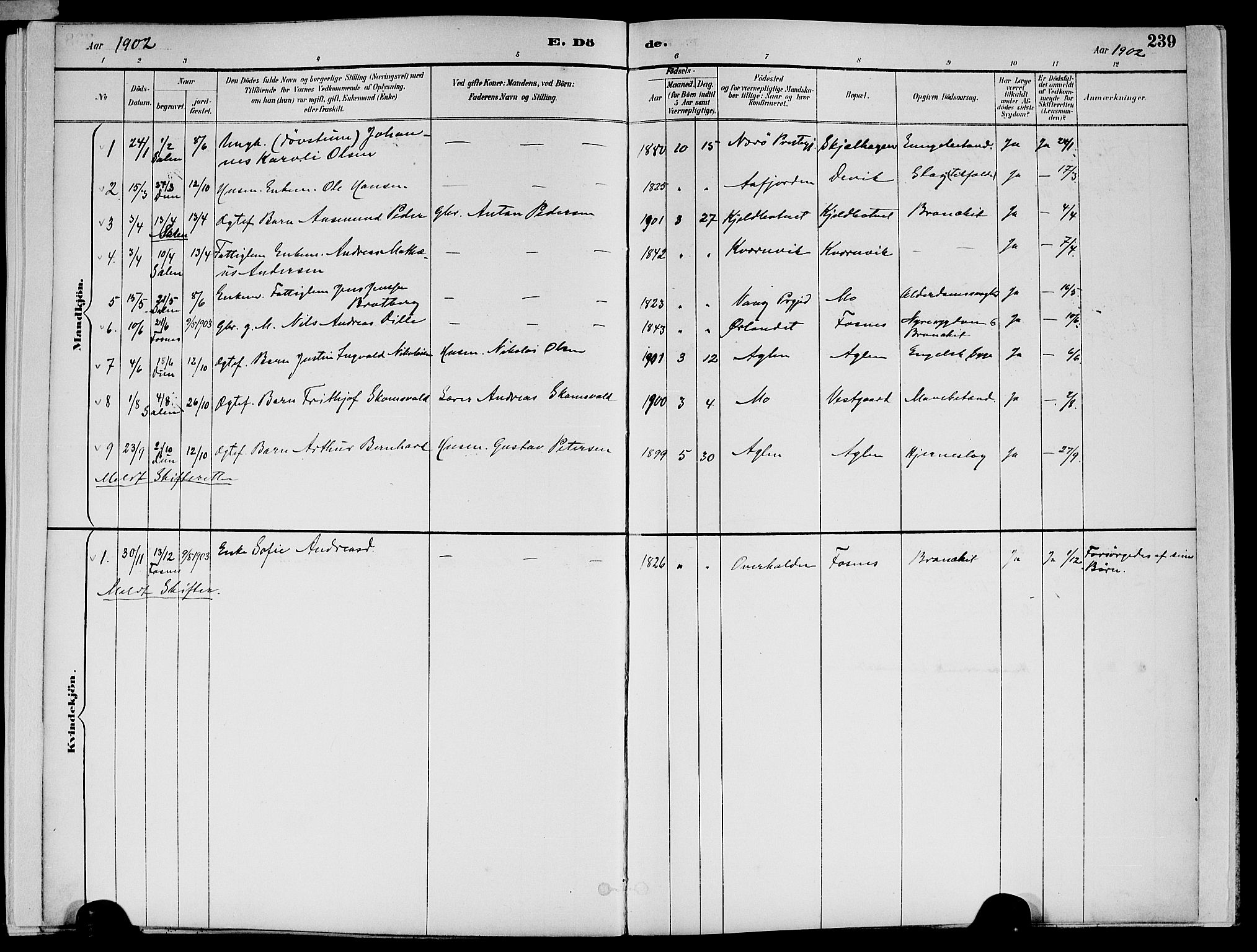 Ministerialprotokoller, klokkerbøker og fødselsregistre - Nord-Trøndelag, AV/SAT-A-1458/773/L0617: Parish register (official) no. 773A08, 1887-1910, p. 239