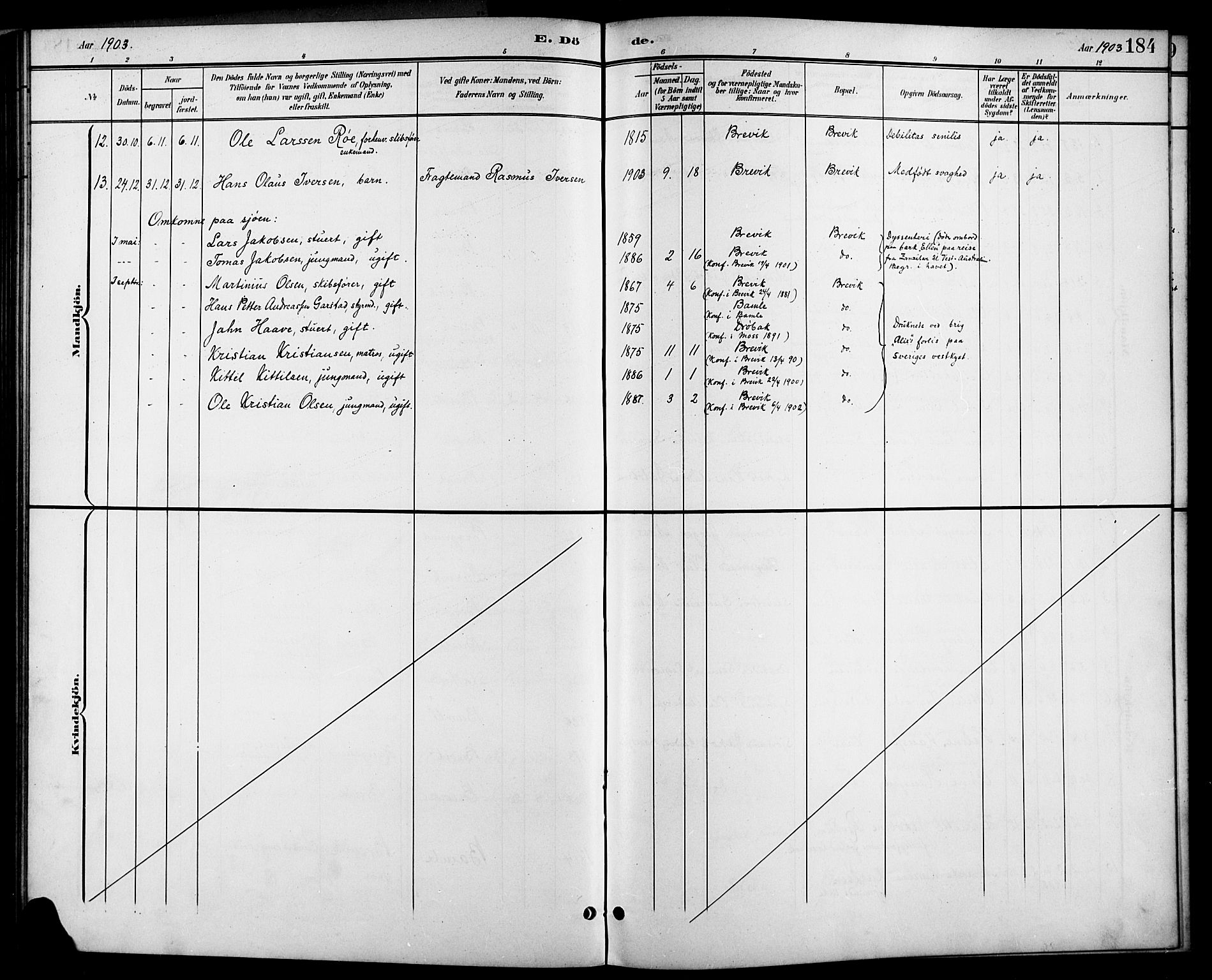 Brevik kirkebøker, AV/SAKO-A-255/G/Ga/L0005: Parish register (copy) no. 5, 1901-1924, p. 184