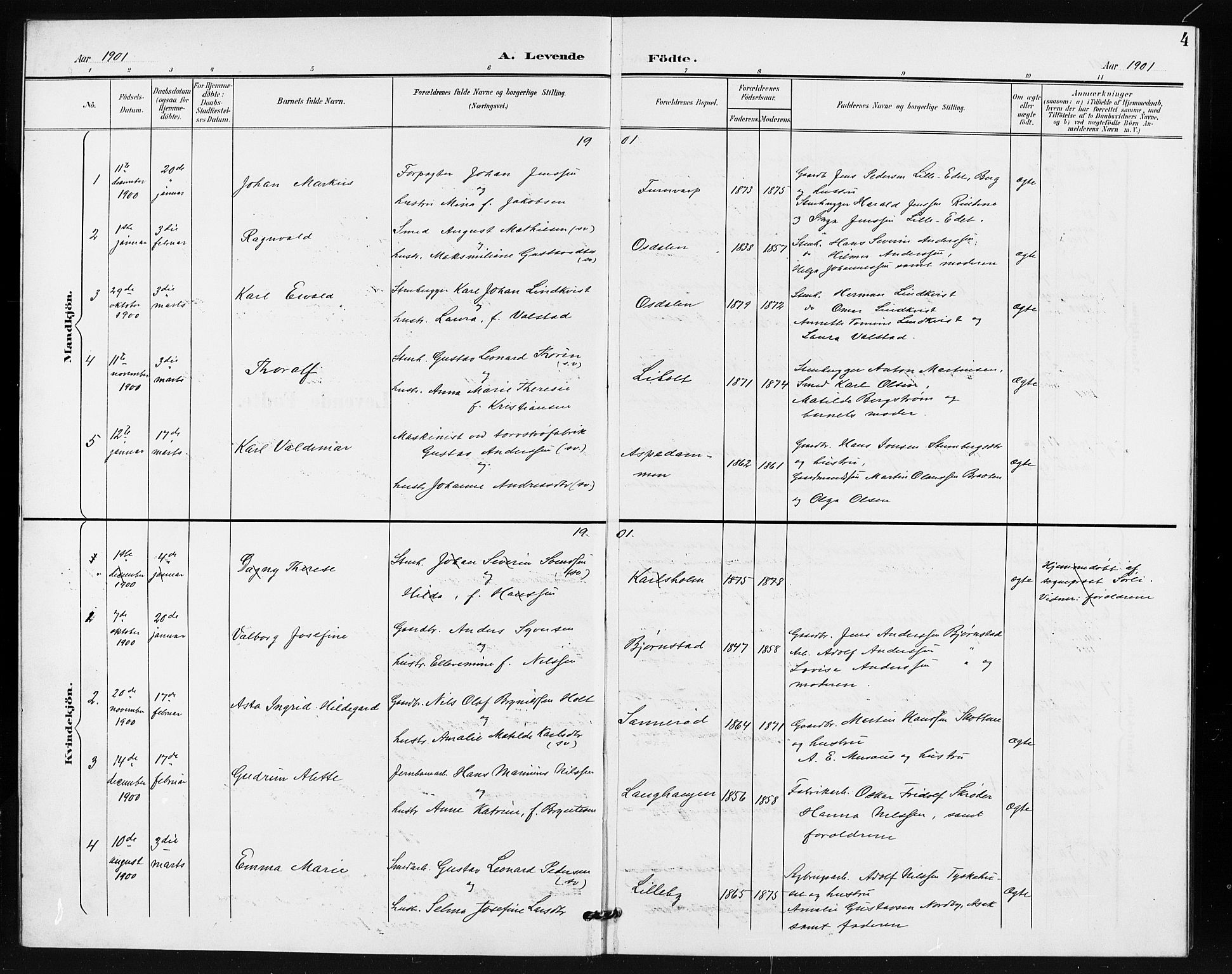 Idd prestekontor Kirkebøker, SAO/A-10911/G/Gb/L0001: Parish register (copy) no. II 1, 1901-1907, p. 4