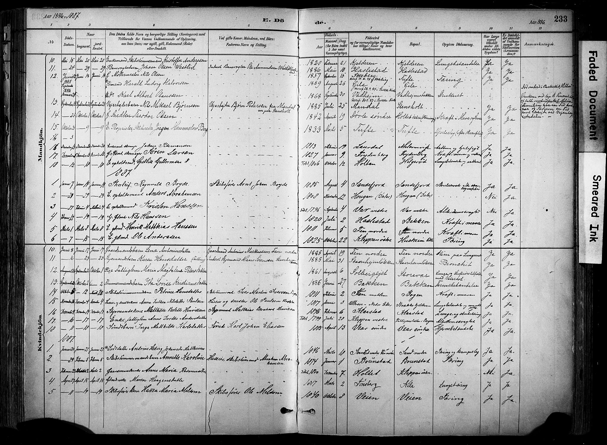 Stokke kirkebøker, SAKO/A-320/F/Fa/L0010: Parish register (official) no. I 10, 1884-1903, p. 233
