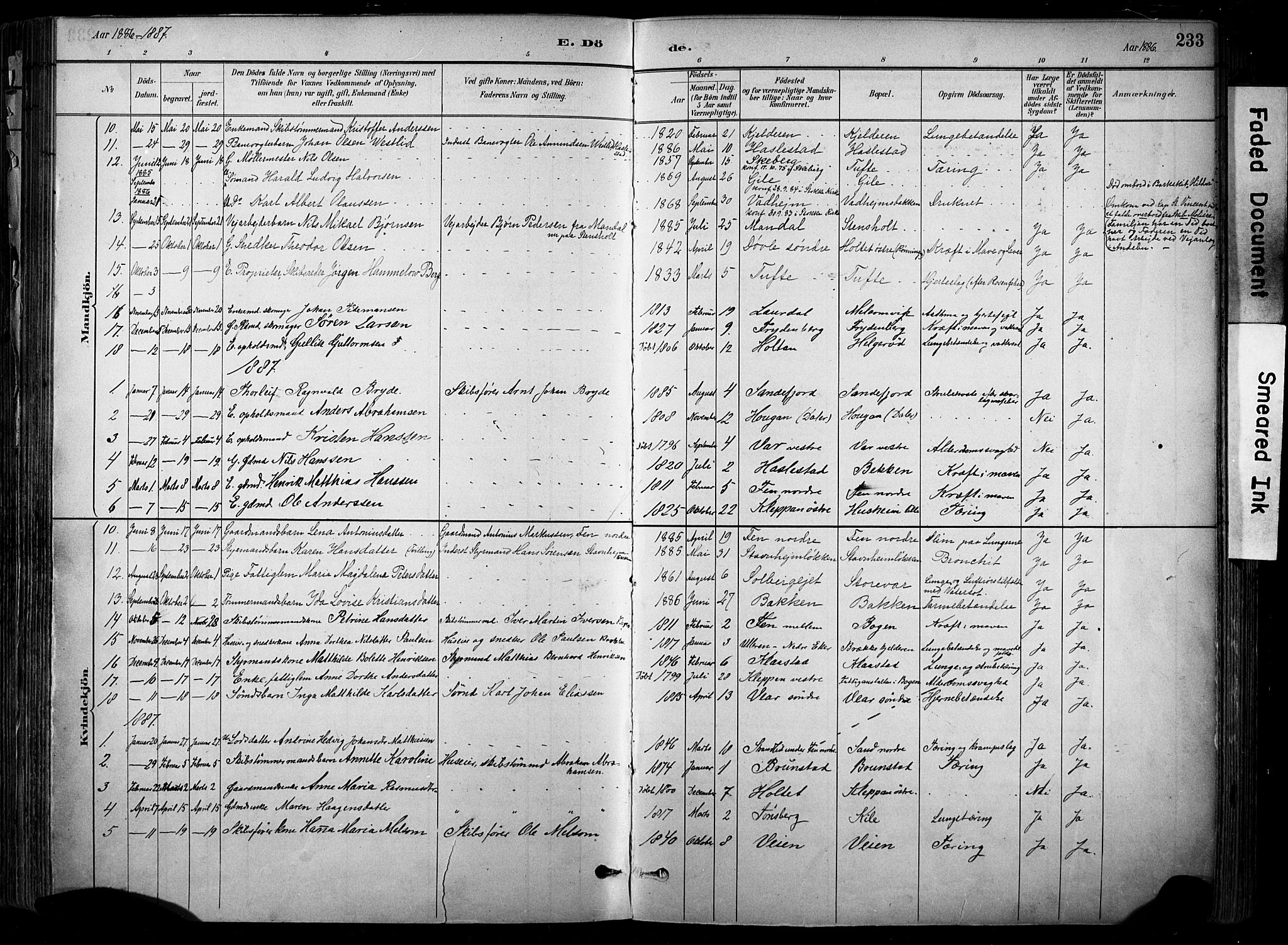 Stokke kirkebøker, AV/SAKO-A-320/F/Fa/L0010: Parish register (official) no. I 10, 1884-1903, p. 233