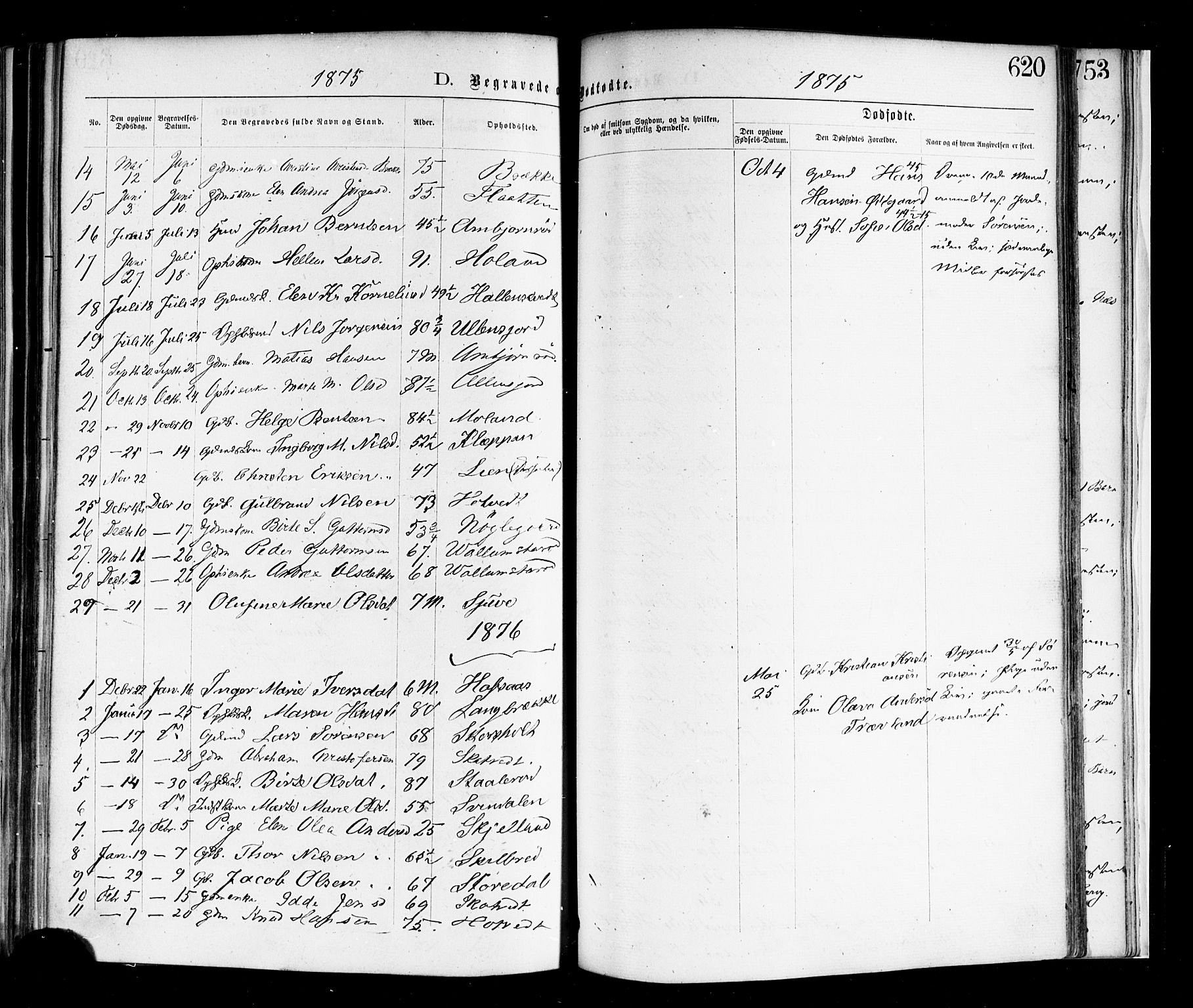 Andebu kirkebøker, SAKO/A-336/F/Fa/L0006: Parish register (official) no. 6, 1871-1878, p. 620