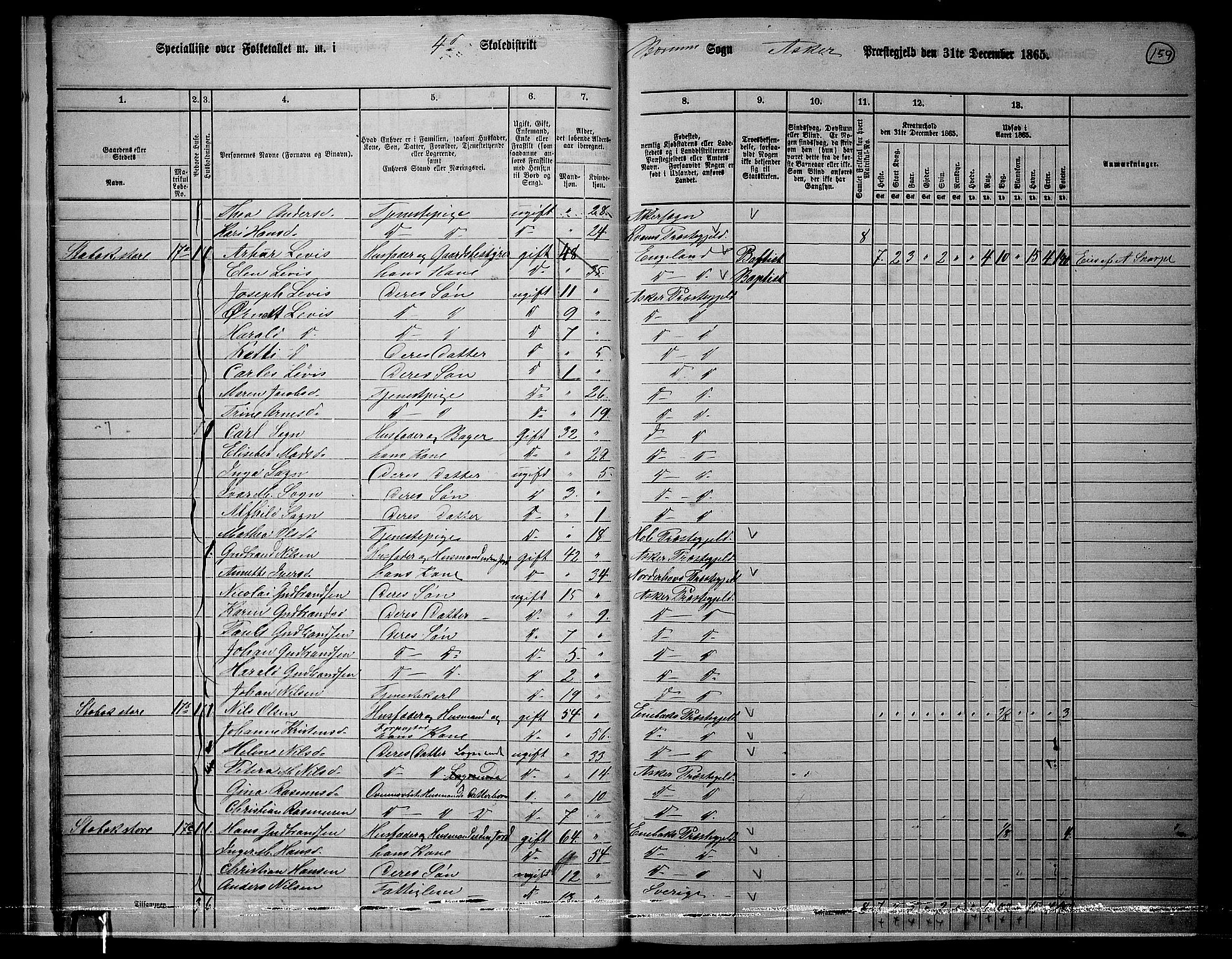 RA, 1865 census for Asker, 1865, p. 156