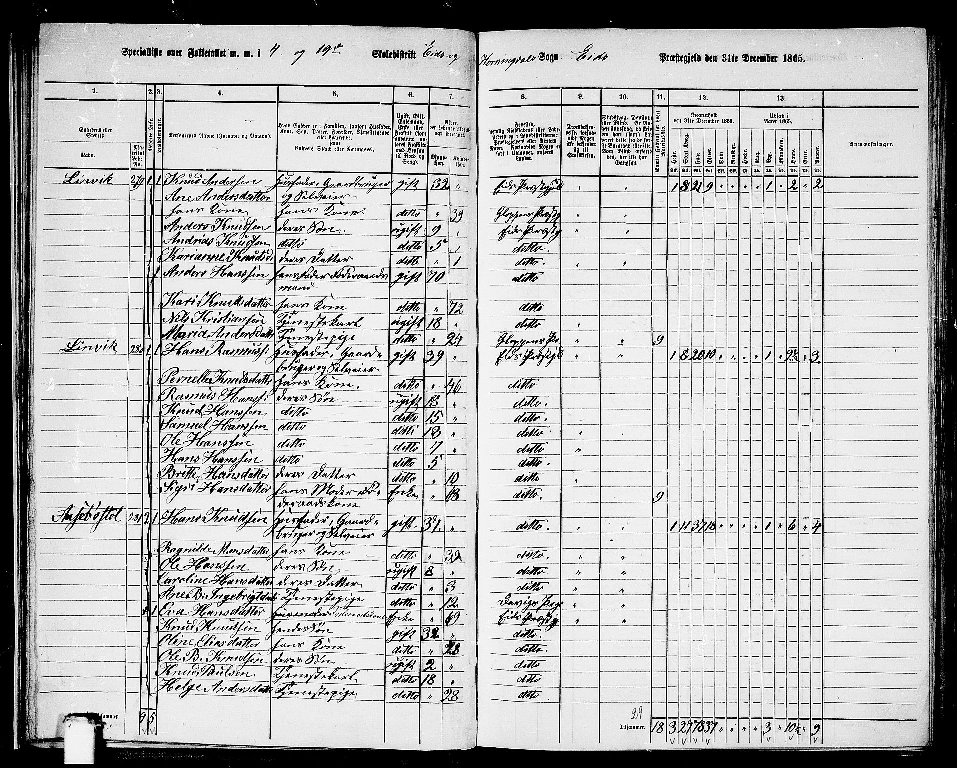 RA, 1865 census for Eid, 1865, p. 29