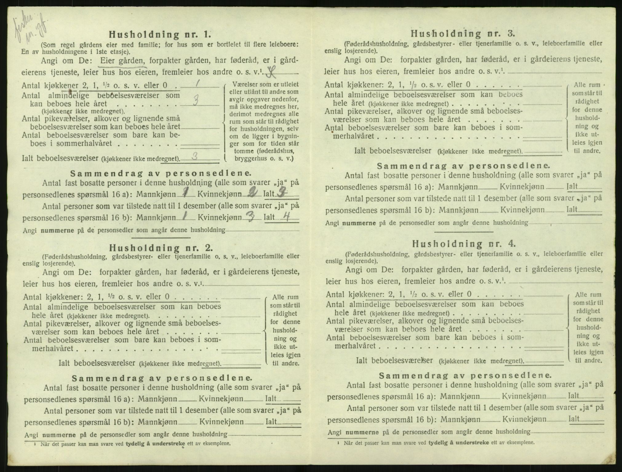 SAK, 1920 census for Nes (V-A), 1920, p. 1035