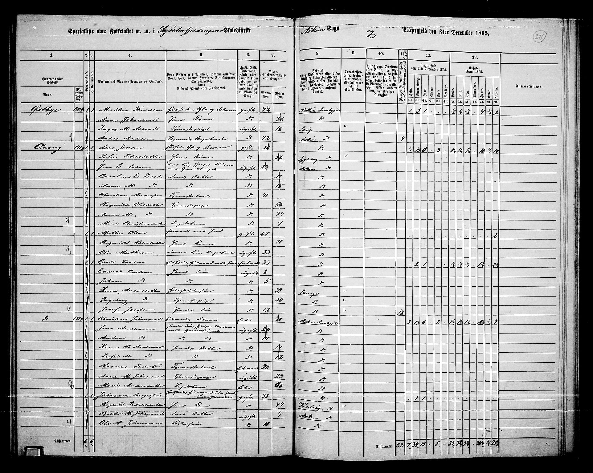 RA, 1865 census for Askim, 1865, p. 61