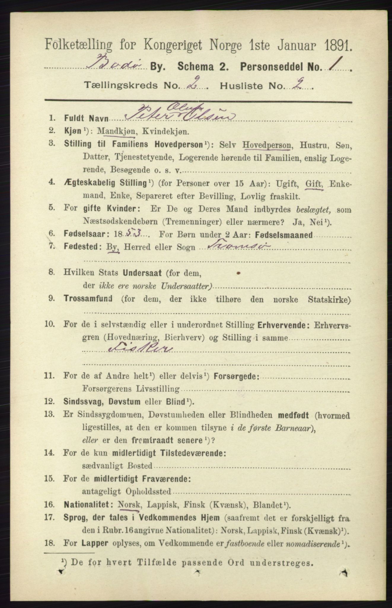 RA, 1891 census for 1804 Bodø, 1891, p. 995