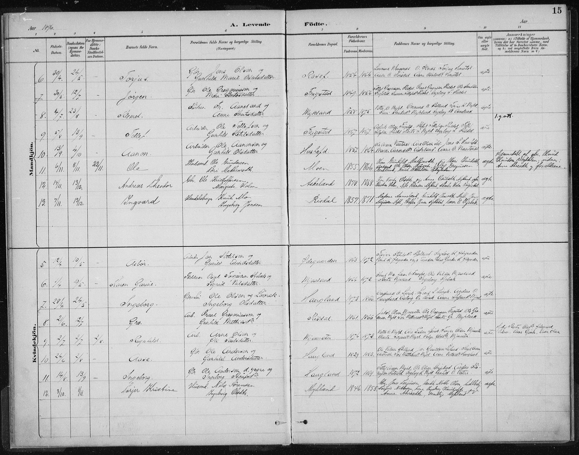 Herefoss sokneprestkontor, SAK/1111-0019/F/Fa/Fac/L0002: Parish register (official) no. A 2, 1887-1915, p. 15