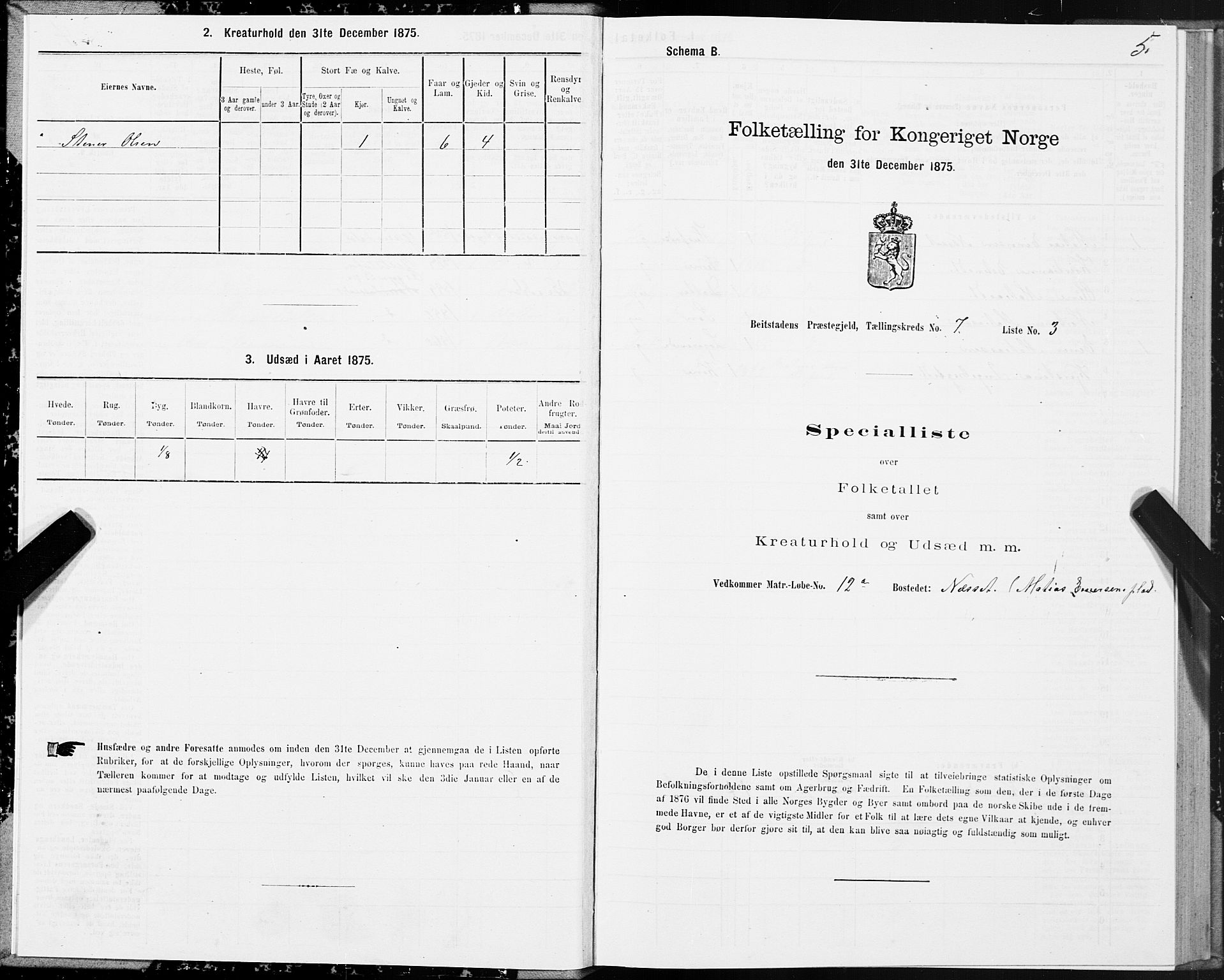 SAT, 1875 census for 1727P Beitstad, 1875, p. 5005