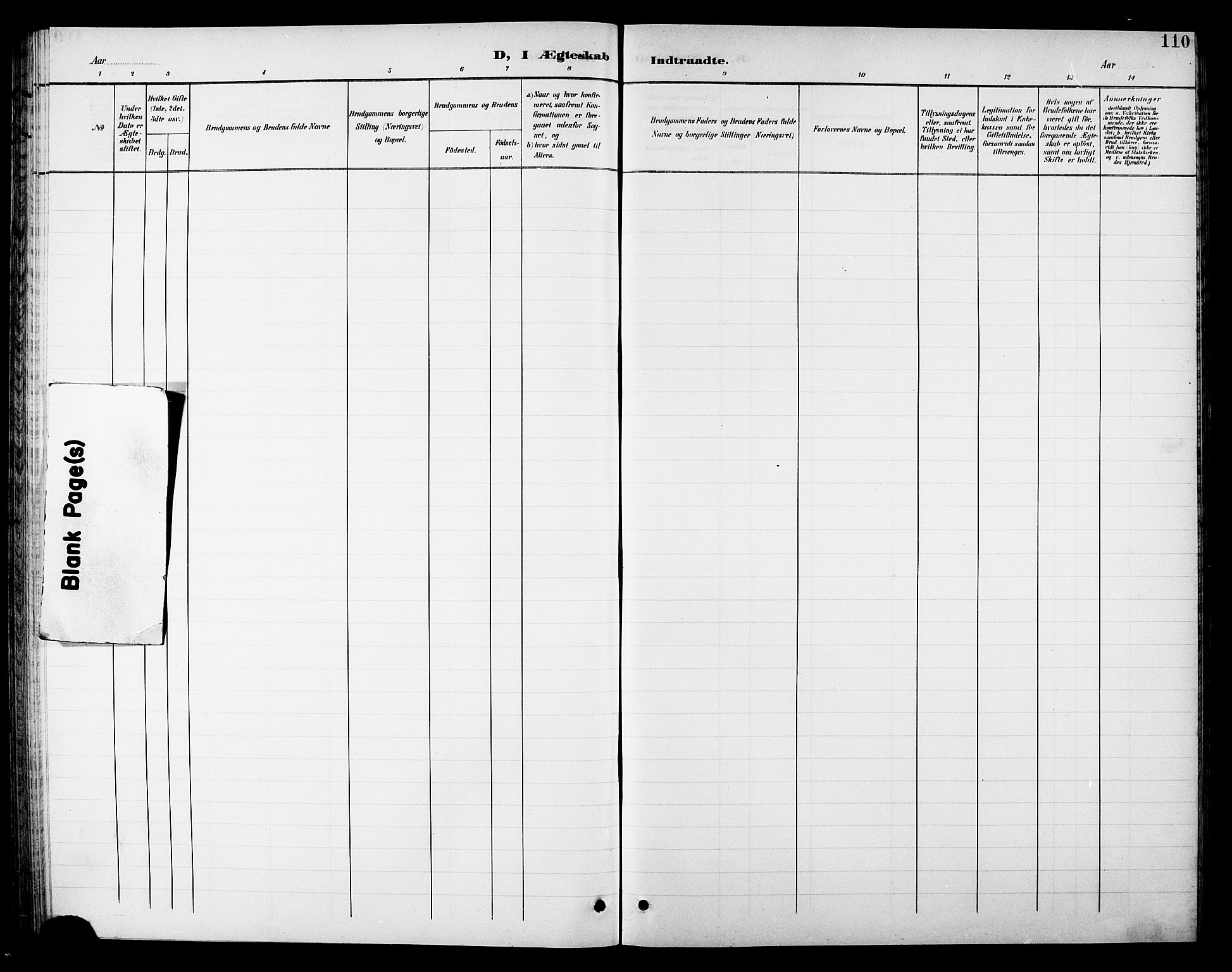 Ministerialprotokoller, klokkerbøker og fødselsregistre - Nordland, AV/SAT-A-1459/810/L0161: Parish register (copy) no. 810C04, 1897-1910, p. 110