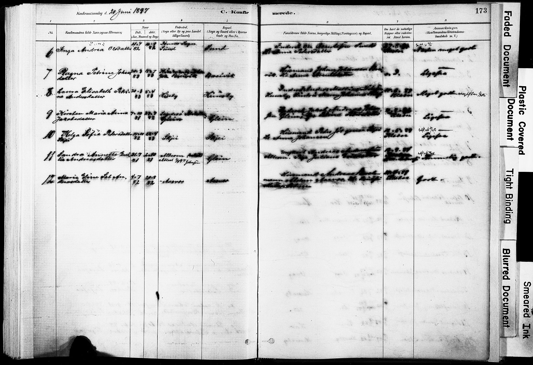 Ministerialprotokoller, klokkerbøker og fødselsregistre - Nordland, AV/SAT-A-1459/835/L0525: Parish register (official) no. 835A03I, 1881-1910, p. 173