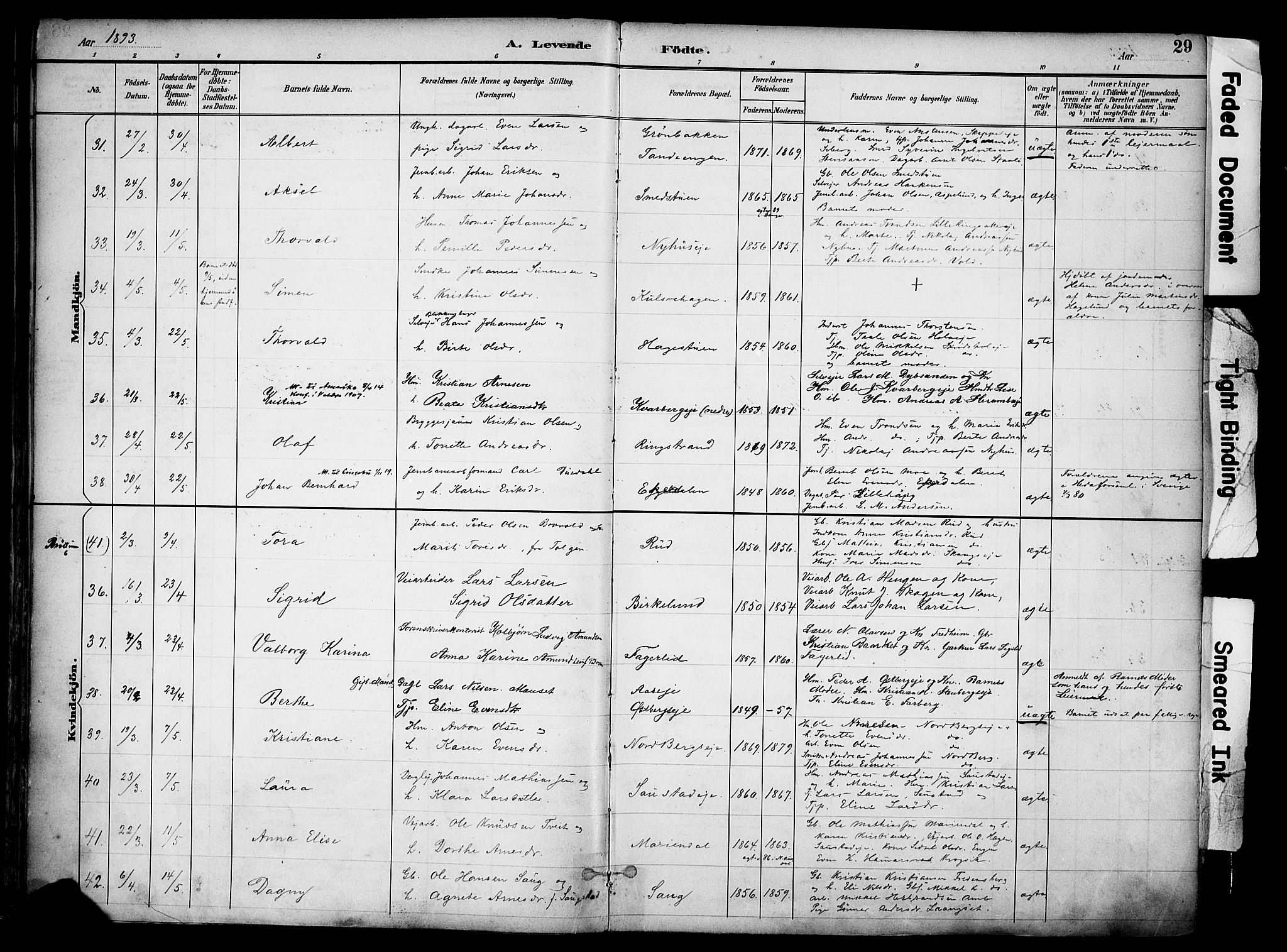 Ringsaker prestekontor, AV/SAH-PREST-014/K/Ka/L0017: Parish register (official) no. 17, 1891-1902, p. 29