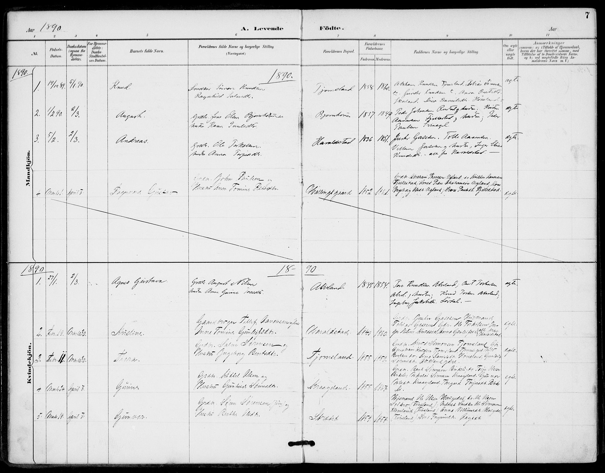 Holum sokneprestkontor, AV/SAK-1111-0022/F/Fa/Fab/L0007: Parish register (official) no. A 7, 1887-1912, p. 7