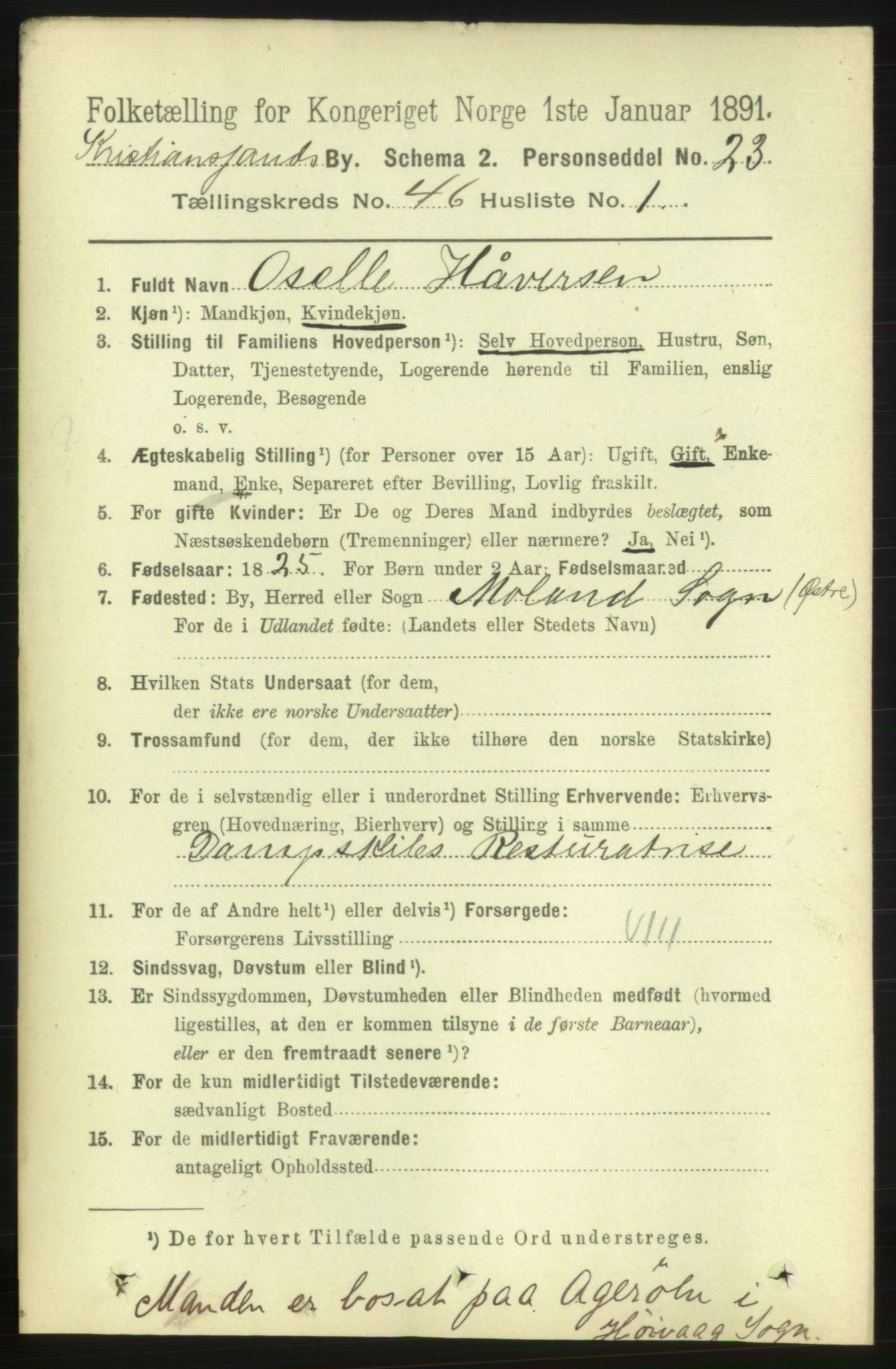 RA, 1891 census for 1001 Kristiansand, 1891, p. 14022