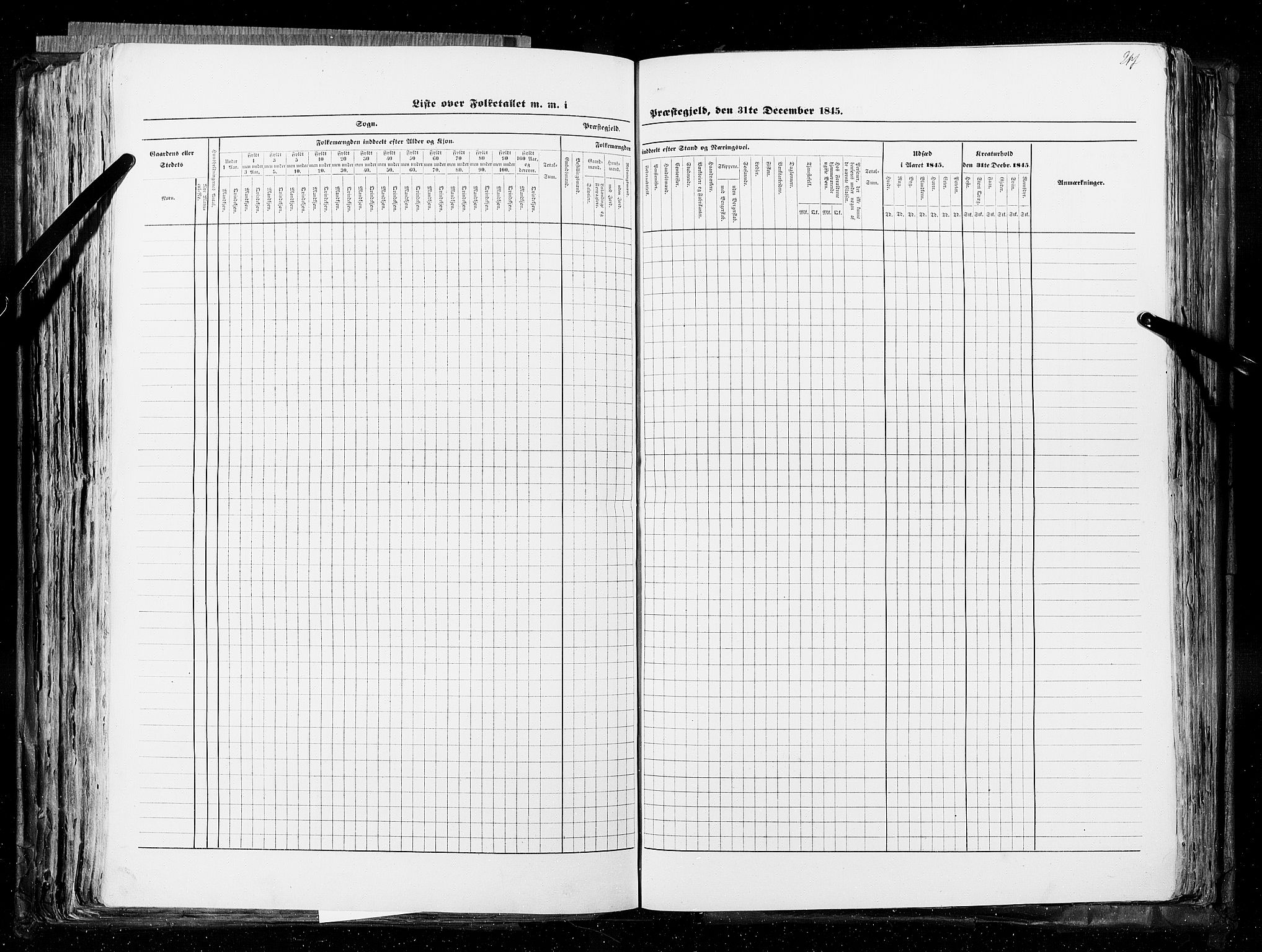 RA, Census 1845, vol. 5: Bratsberg amt og Nedenes og Råbyggelaget amt, 1845, p. 217