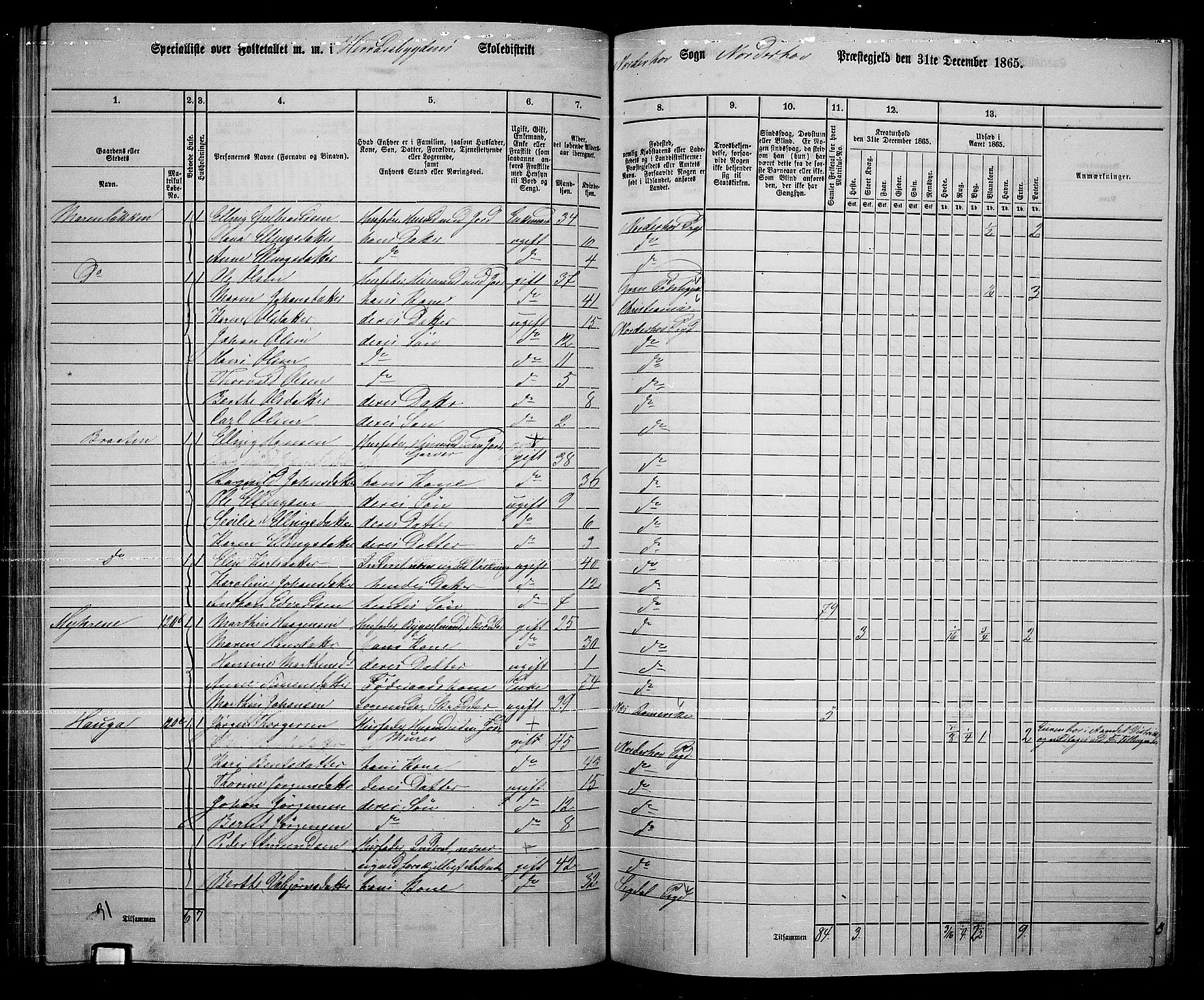 RA, 1865 census for Norderhov/Norderhov, Haug og Lunder, 1865, p. 168