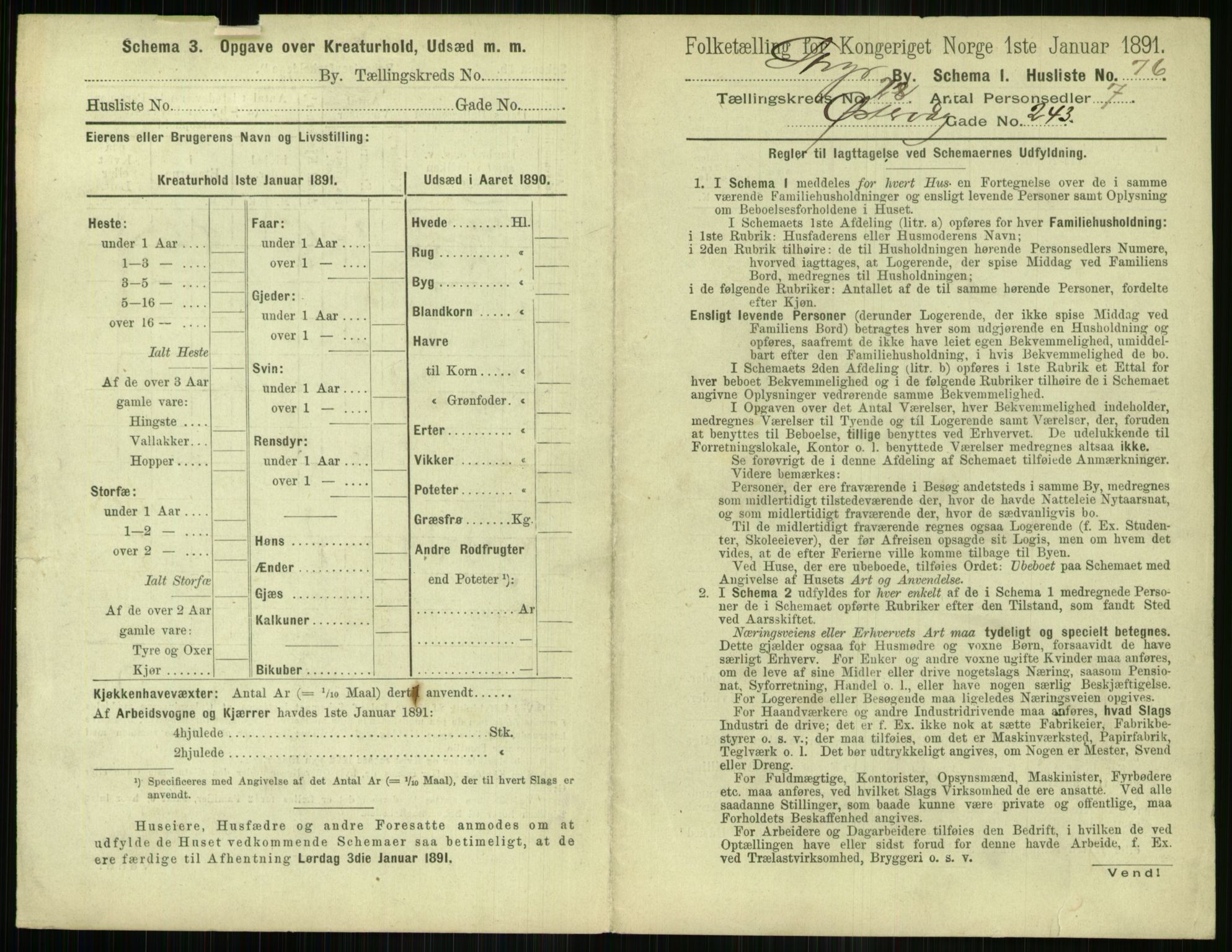 RA, 1891 census for 1103 Stavanger, 1891, p. 5131