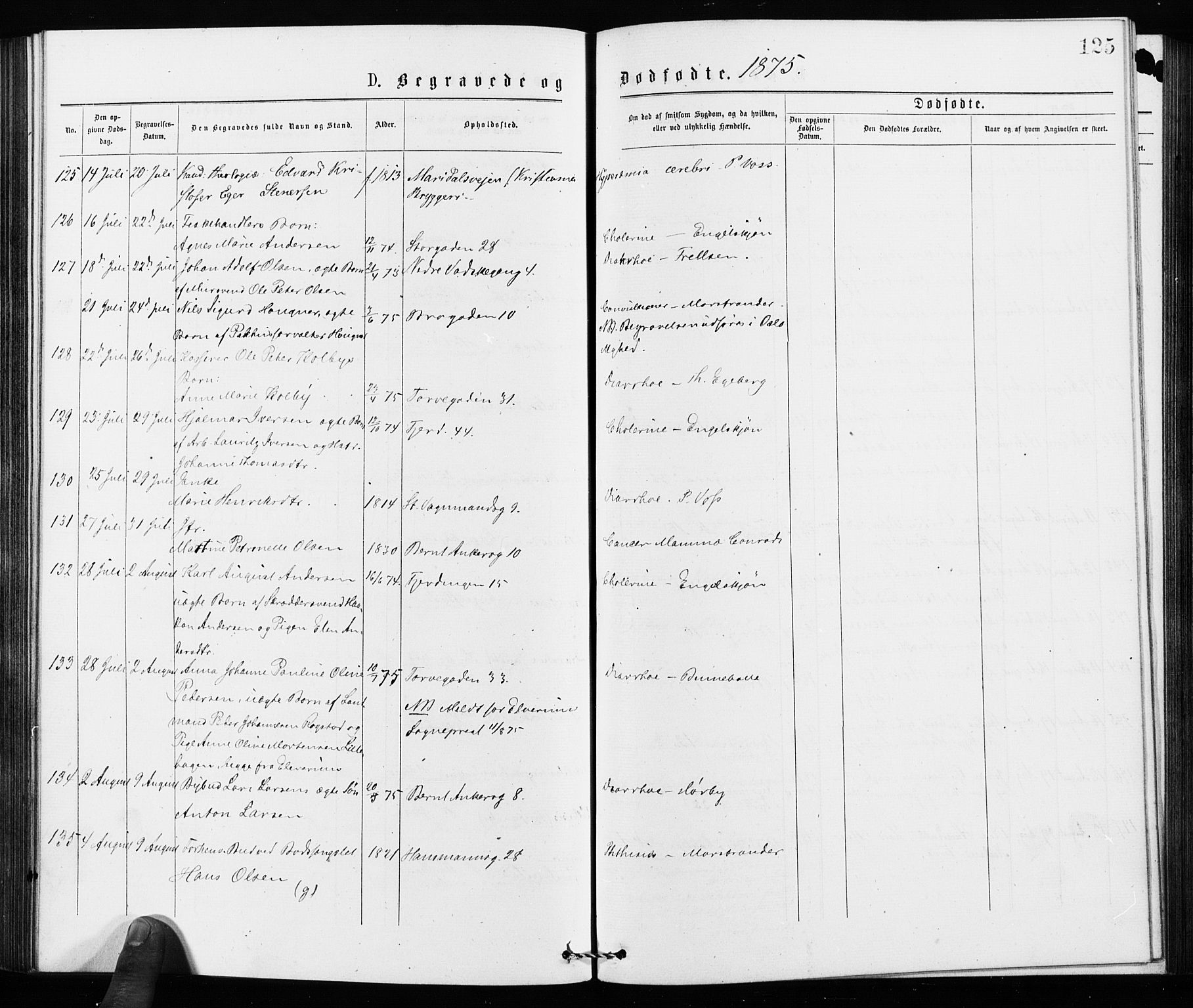 Jakob prestekontor Kirkebøker, AV/SAO-A-10850/F/Fa/L0002: Parish register (official) no. 2, 1875-1879, p. 125