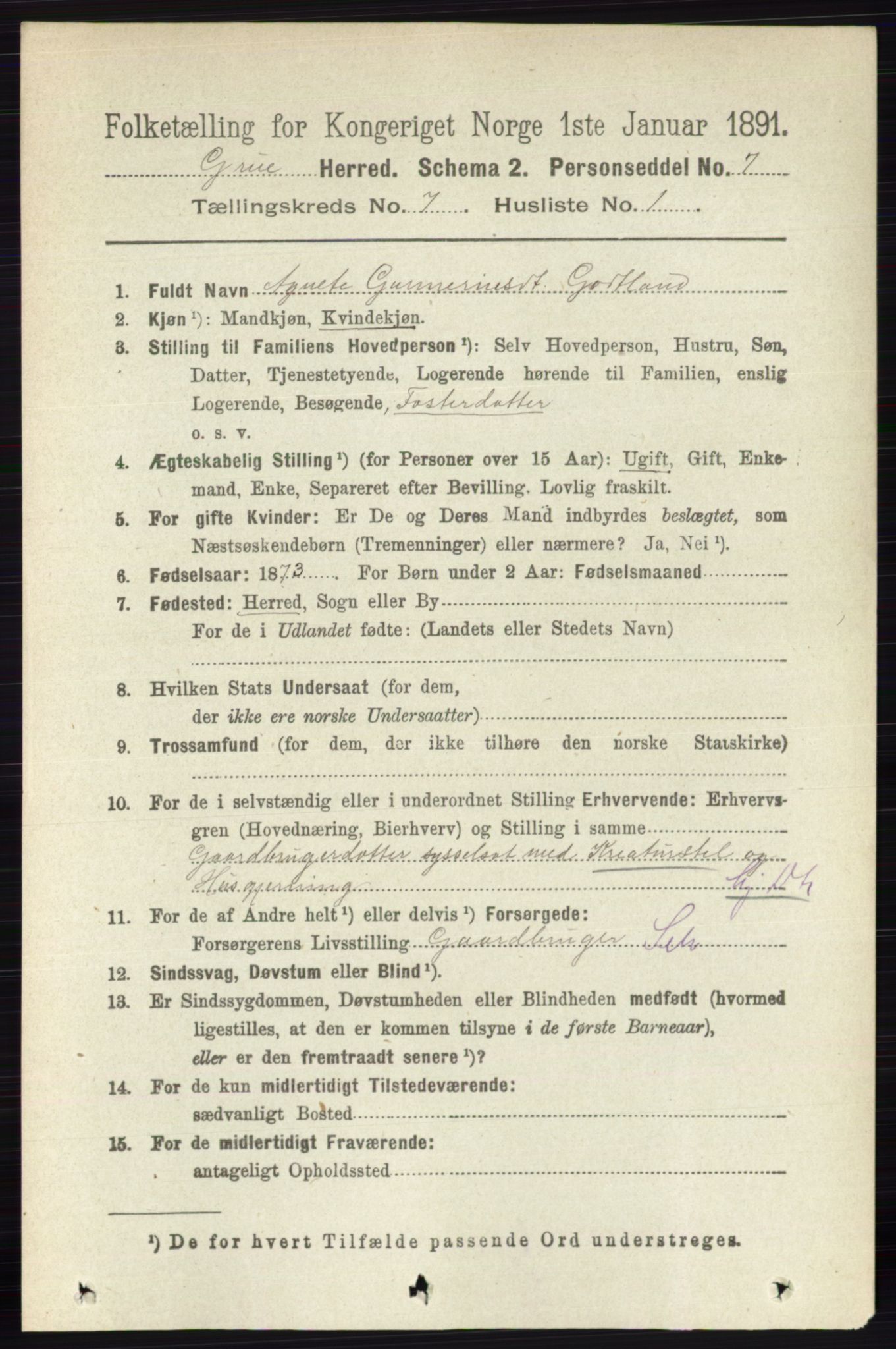 RA, 1891 census for 0423 Grue, 1891, p. 3573