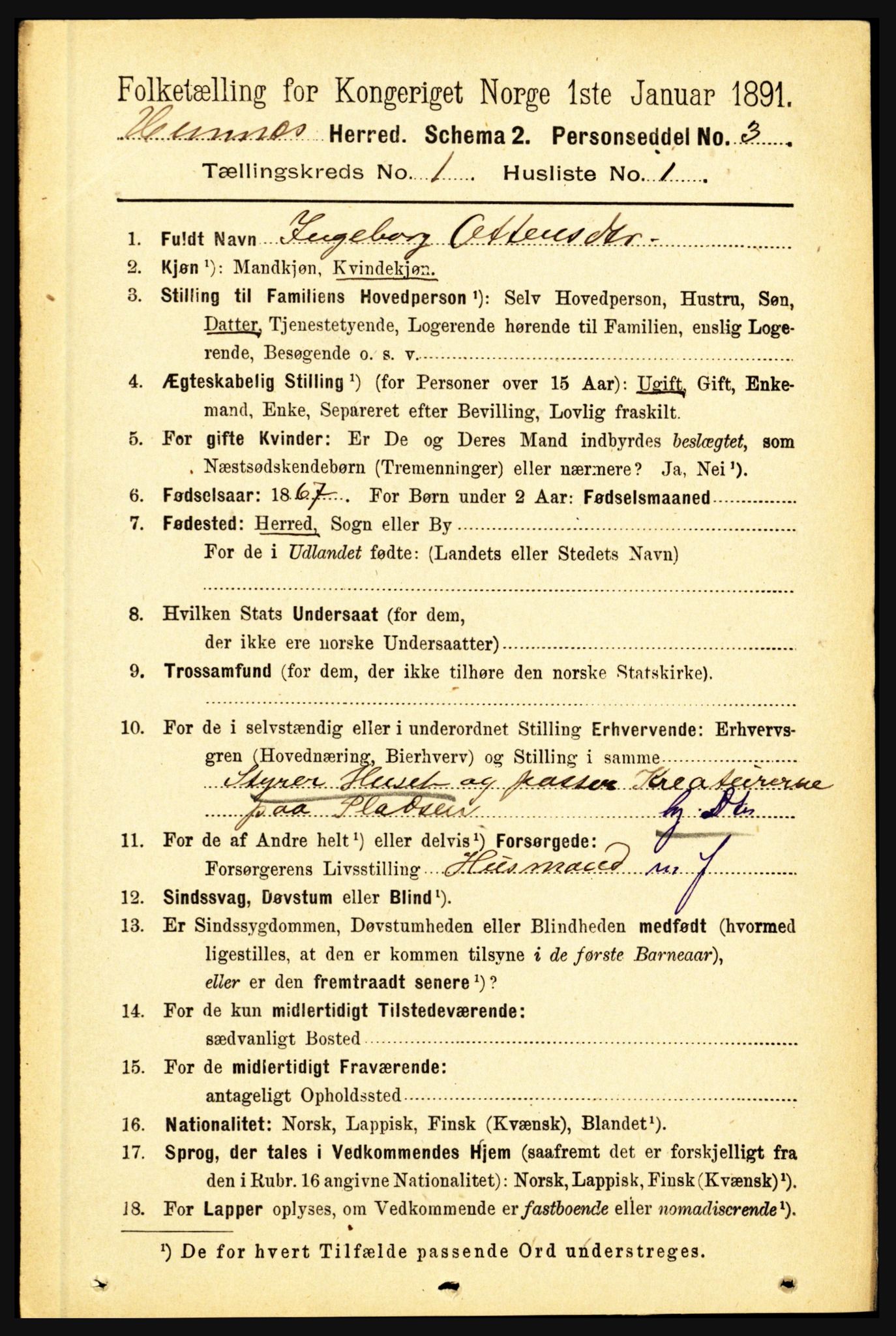 RA, 1891 census for 1832 Hemnes, 1891, p. 216