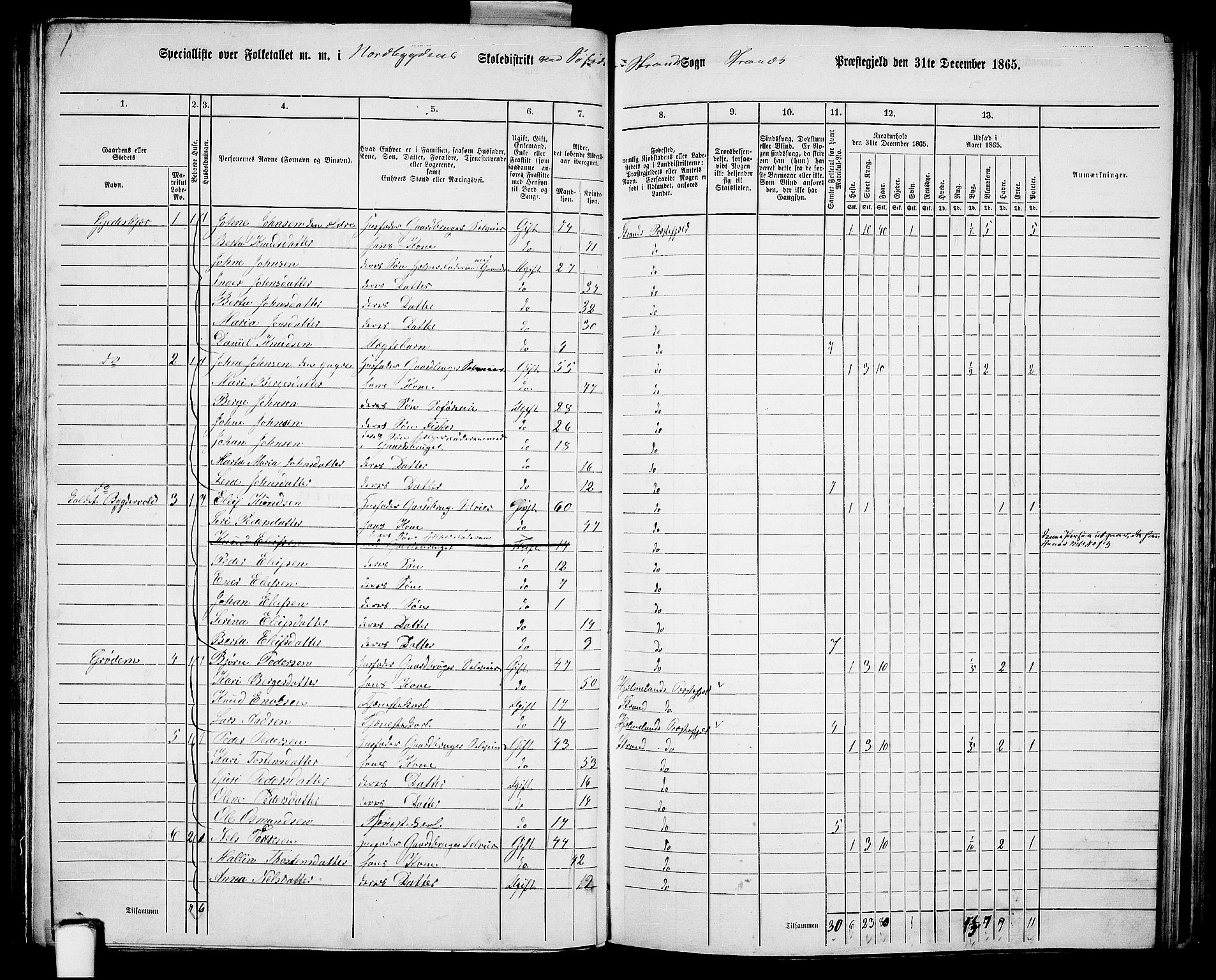 RA, 1865 census for Strand, 1865, p. 7