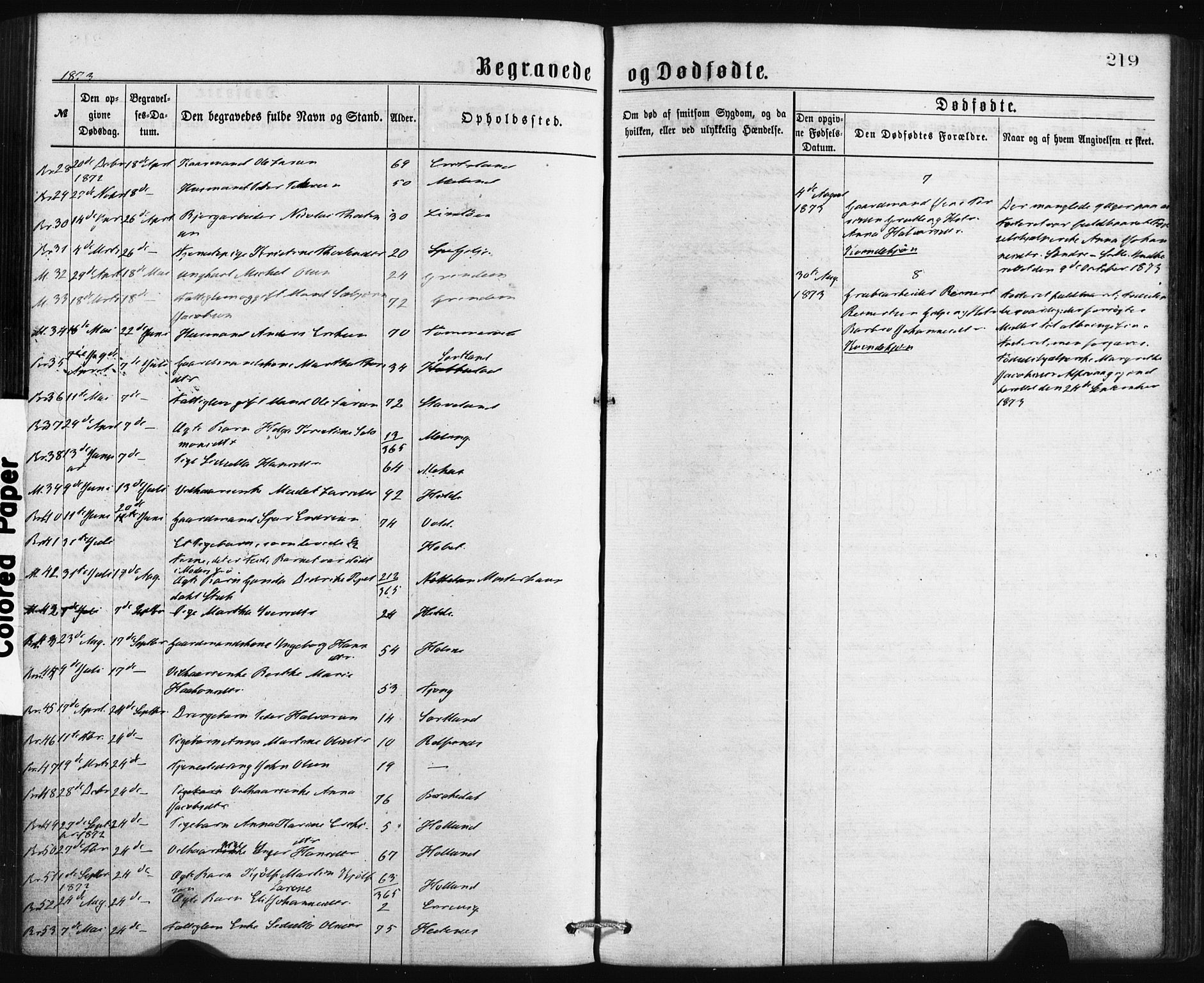 Finnås sokneprestembete, SAB/A-99925/H/Ha/Haa/Haaa/L0009: Parish register (official) no. A 9, 1873-1881, p. 219