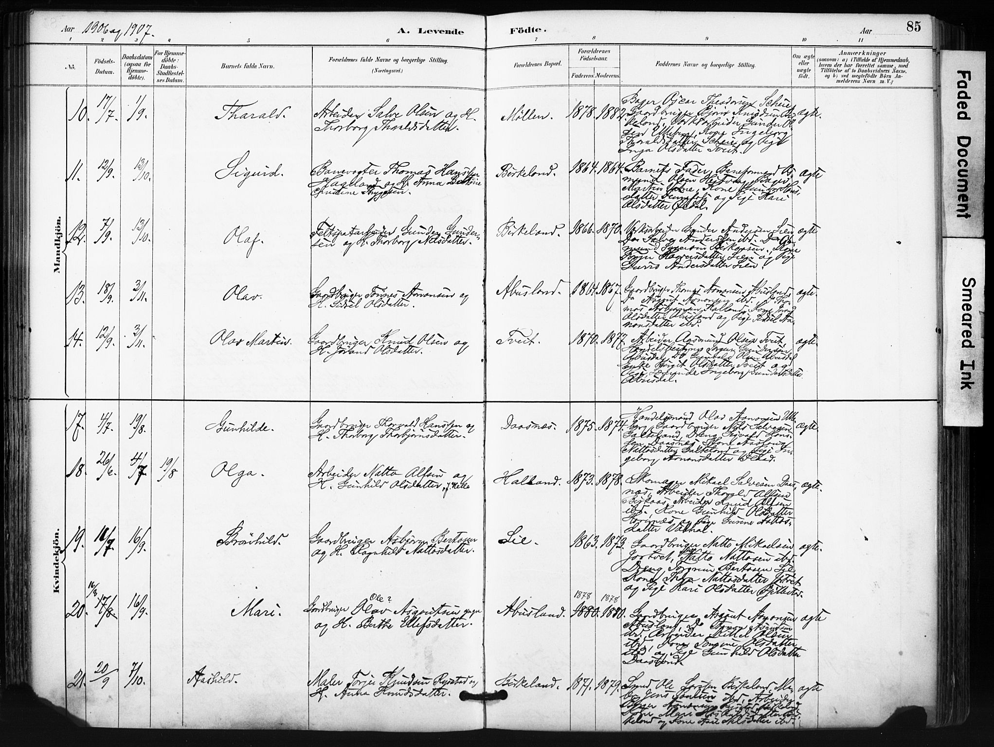 Evje sokneprestkontor, SAK/1111-0008/F/Fa/Fab/L0003: Parish register (official) no. A 3, 1884-1909, p. 85