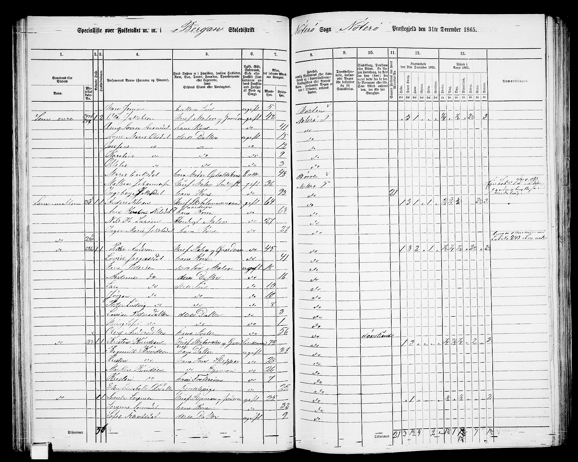 RA, 1865 census for Nøtterøy, 1865, p. 88