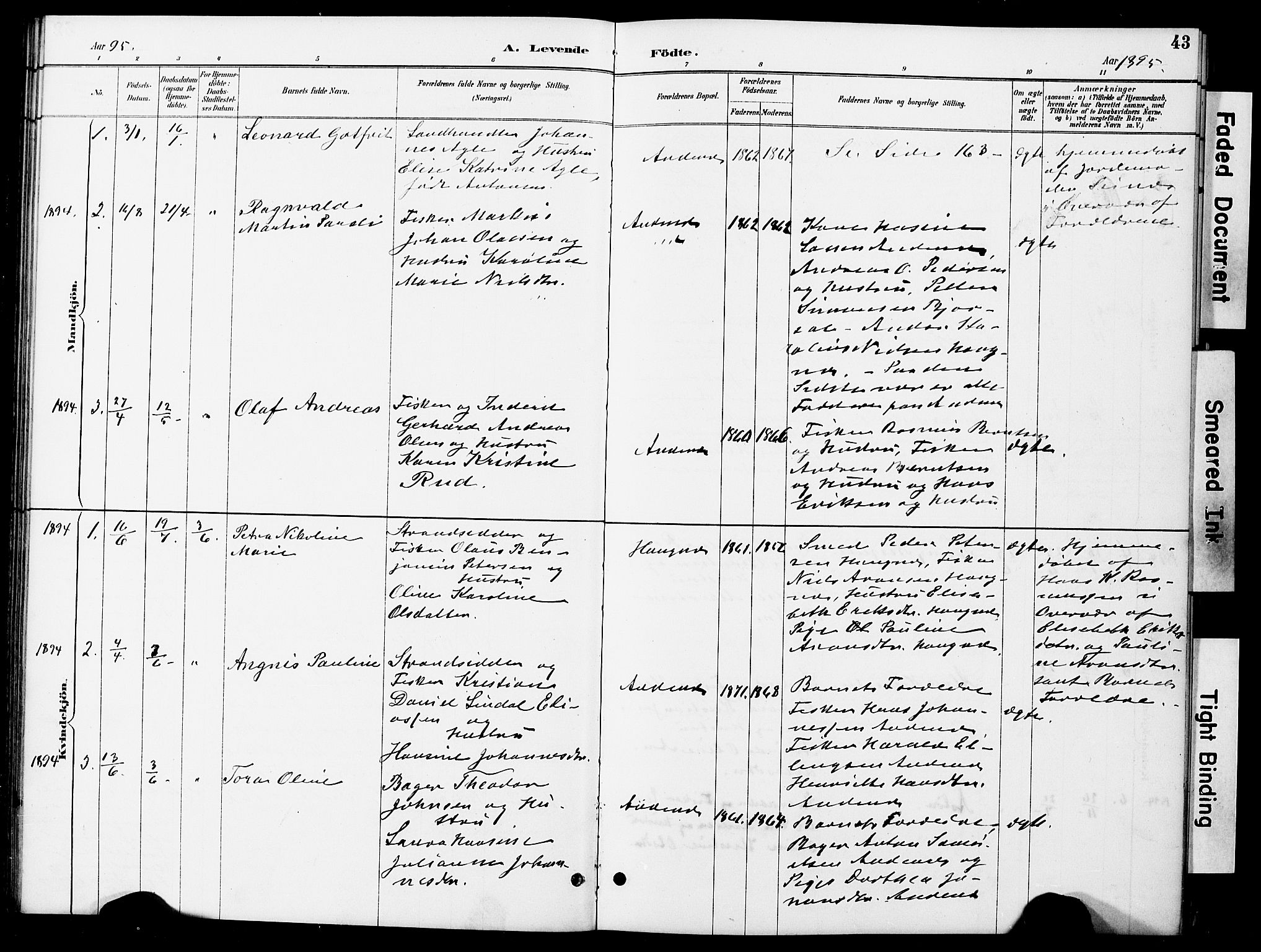 Ministerialprotokoller, klokkerbøker og fødselsregistre - Nordland, AV/SAT-A-1459/899/L1448: Parish register (copy) no. 899C03, 1887-1902, p. 43