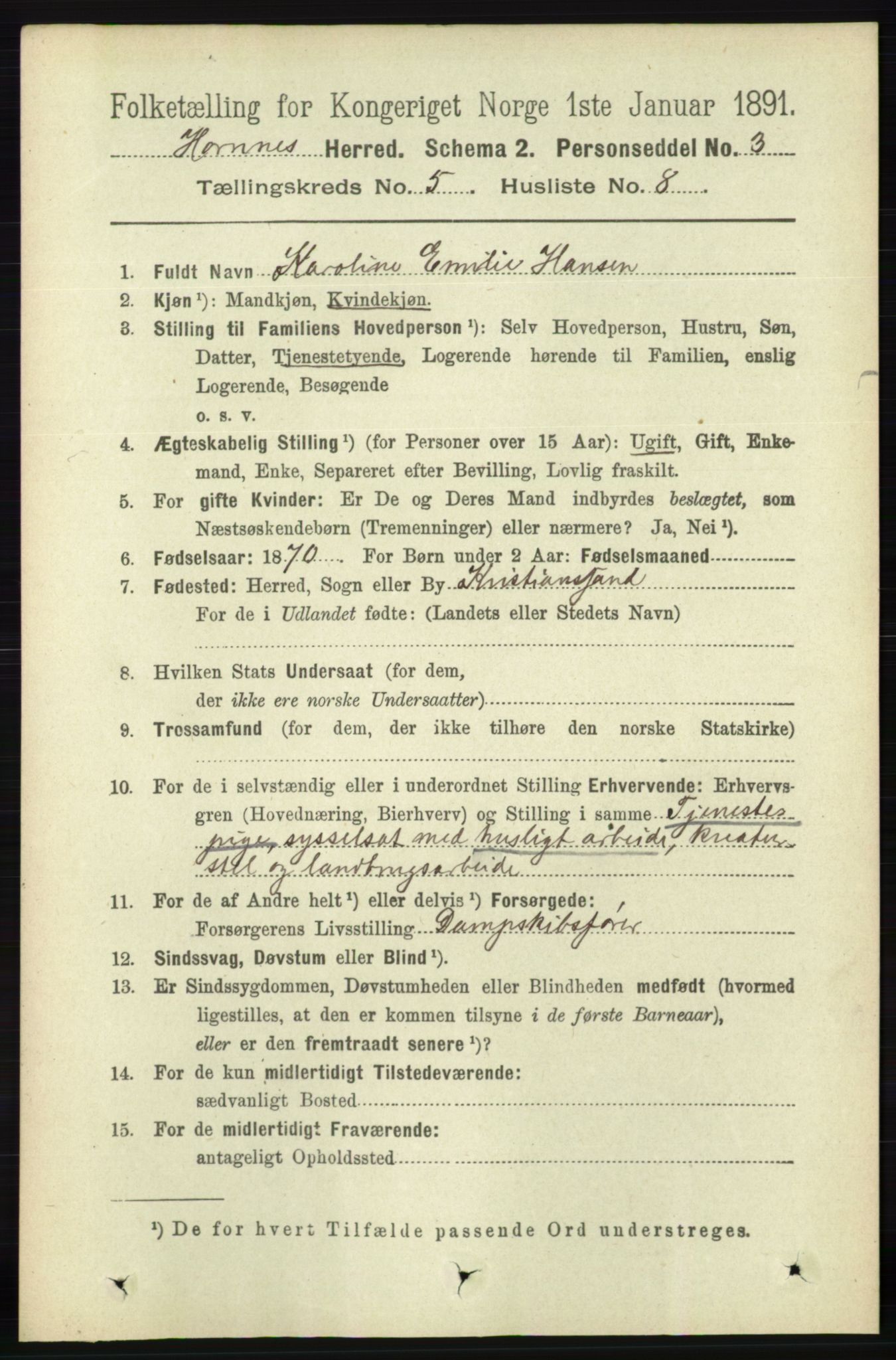 RA, 1891 census for 0936 Hornnes, 1891, p. 1402