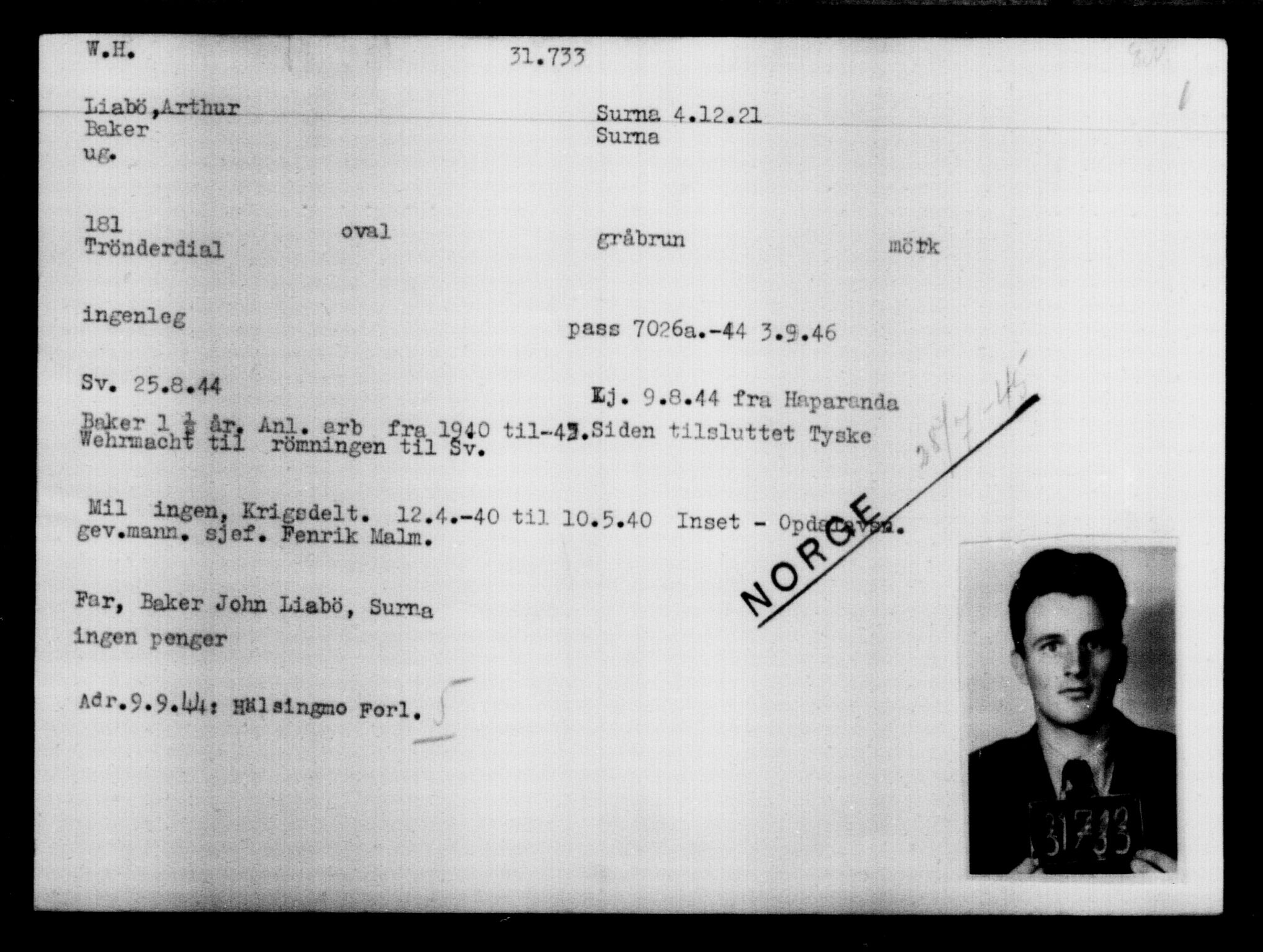 Utenriksstasjonene, Legasjonen i Stockholm, Flyktningkontoret, AV/RA-S-6753/V/Va/L0013: Kjesäterkartoteket, flyktninger med registreringsnr. 31500-34731, 1940-1945, p. 251