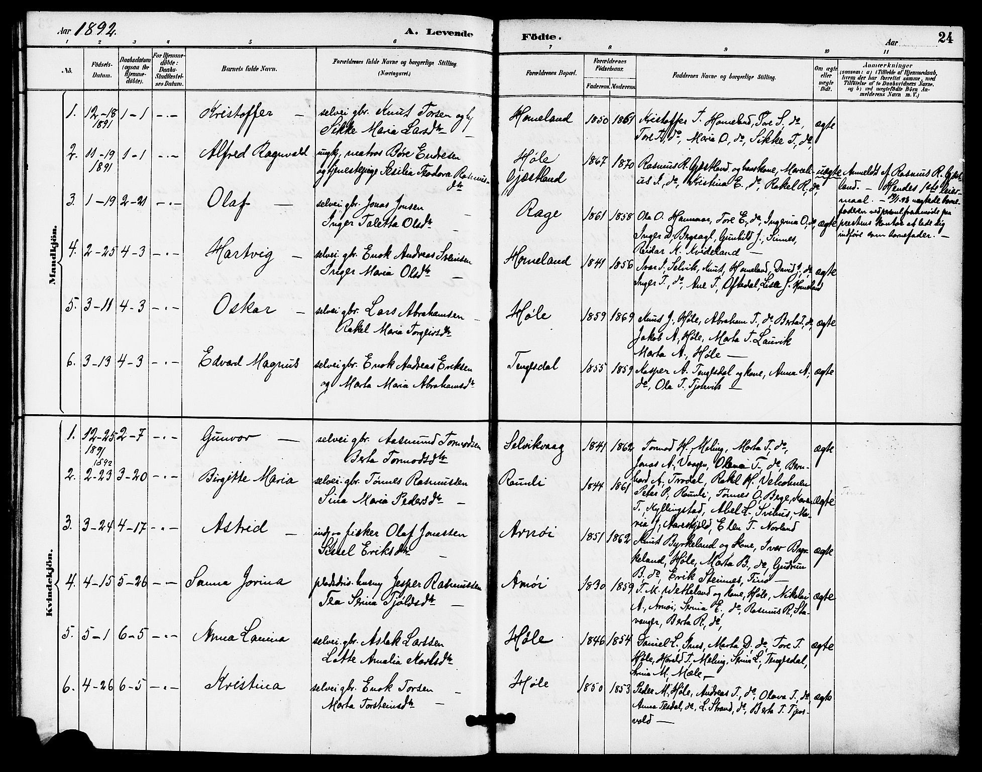 Høgsfjord sokneprestkontor, AV/SAST-A-101624/H/Ha/Haa/L0005: Parish register (official) no. A 5, 1885-1897, p. 24