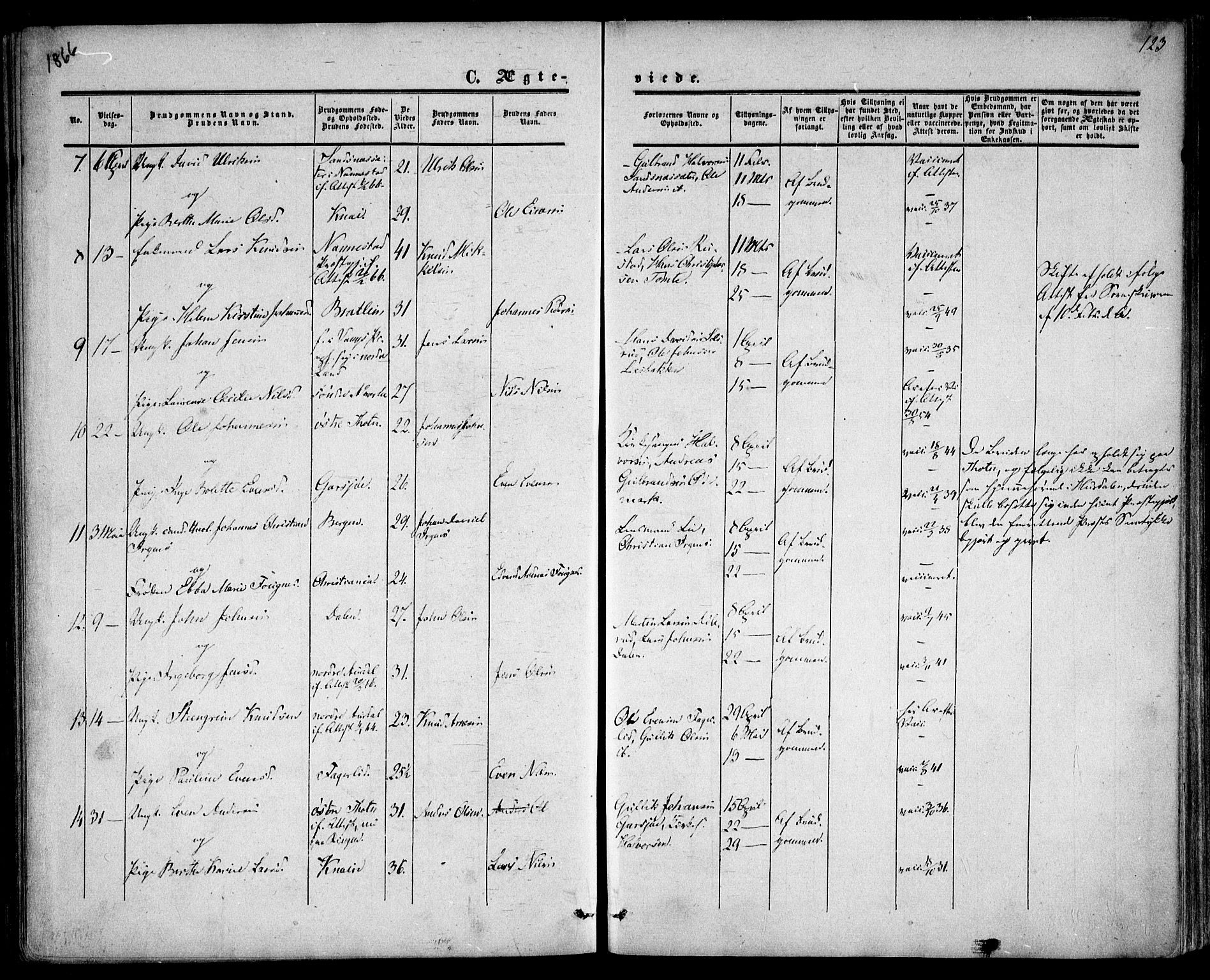 Hurdal prestekontor Kirkebøker, SAO/A-10889/F/Fa/L0006: Parish register (official) no. I 6, 1860-1877, p. 123