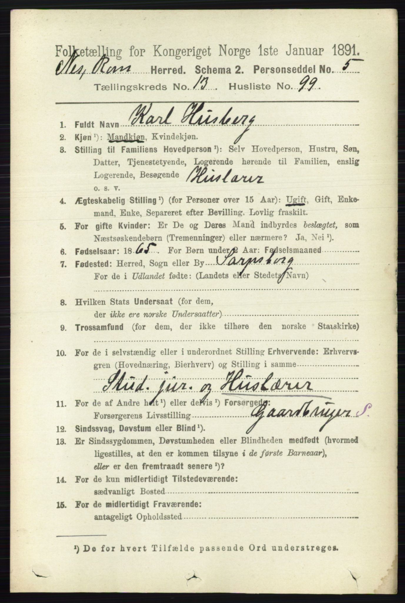 RA, 1891 census for 0236 Nes, 1891, p. 8408