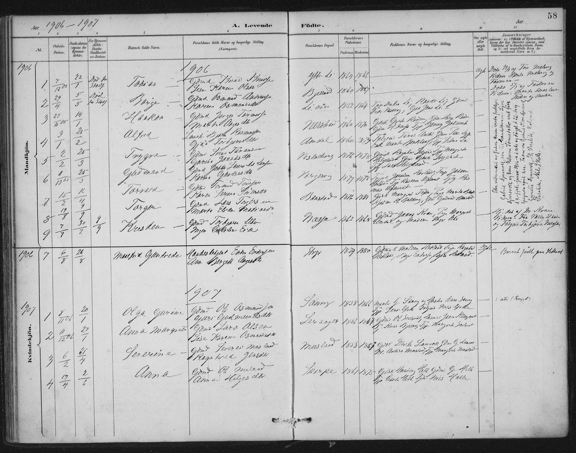 Nedstrand sokneprestkontor, SAST/A-101841/01/IV: Parish register (official) no. A 12, 1887-1915, p. 58