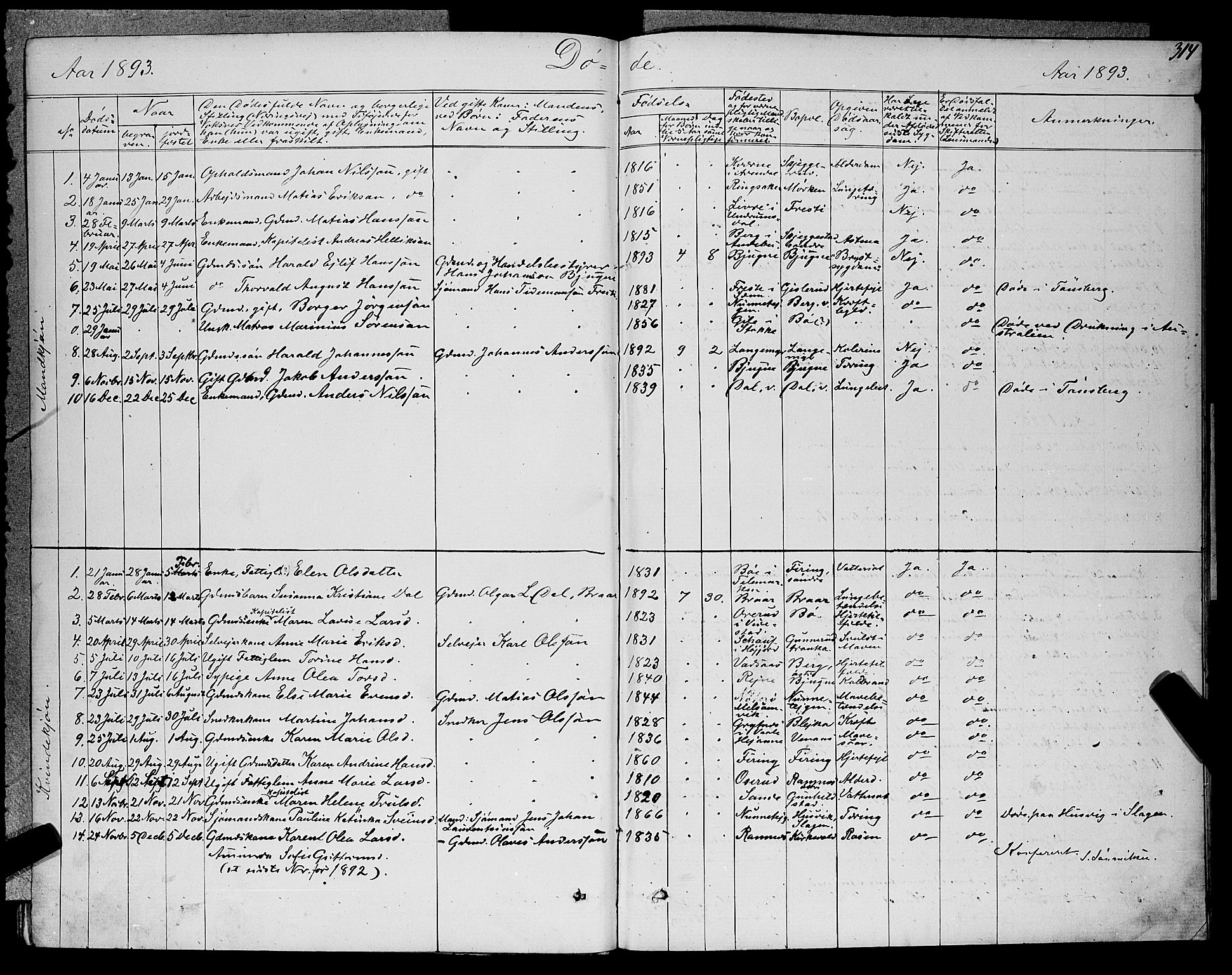 Ramnes kirkebøker, SAKO/A-314/G/Ga/L0003: Parish register (copy) no. I 3, 1870-1896, p. 314