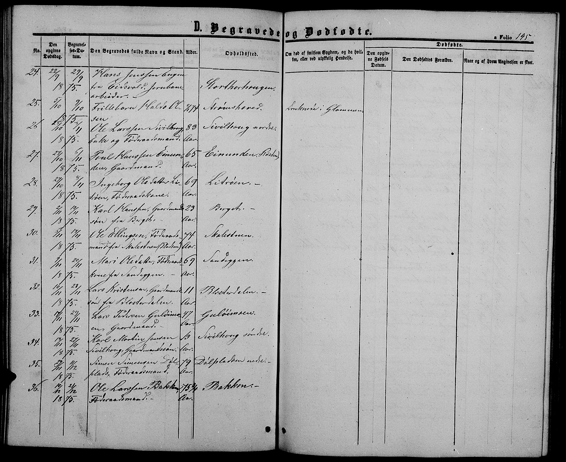 Alvdal prestekontor, SAH/PREST-060/H/Ha/Hab/L0002: Parish register (copy) no. 2, 1863-1878, p. 195