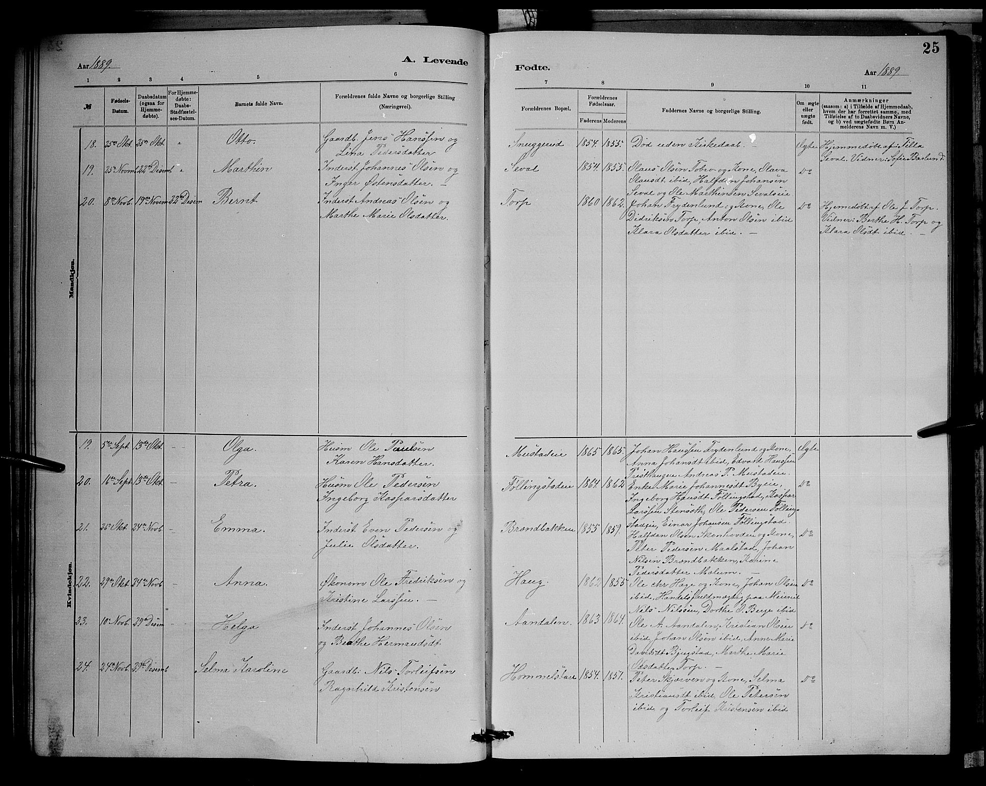 Vardal prestekontor, SAH/PREST-100/H/Ha/Hab/L0008: Parish register (copy) no. 8, 1881-1898, p. 25