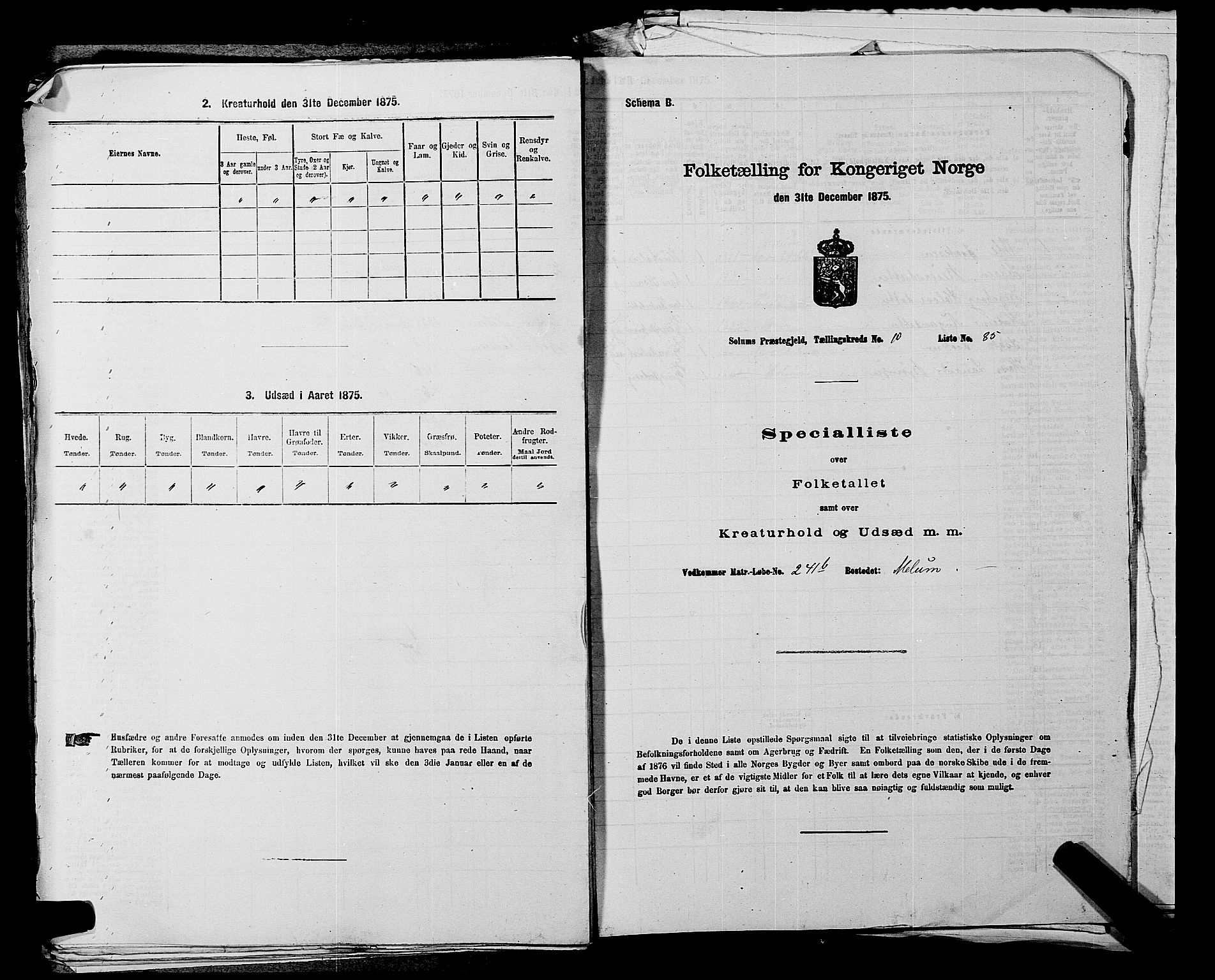 SAKO, 1875 census for 0818P Solum, 1875, p. 1641