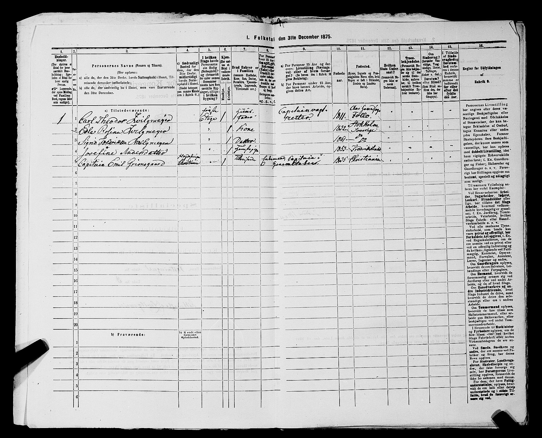 RA, 1875 census for 0101P Fredrikshald, 1875, p. 217