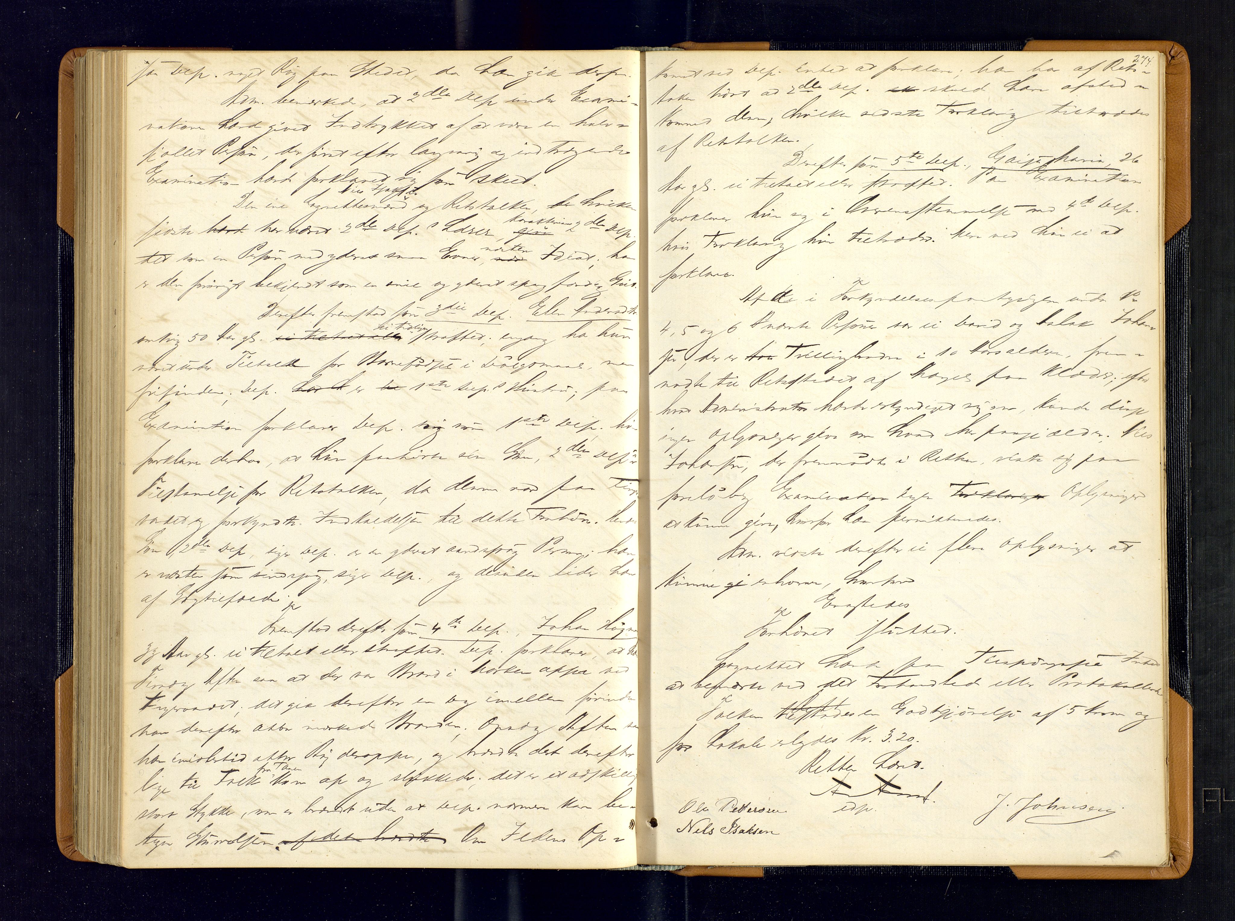 Tana fogderi/sorenskriveri, AV/SATØ-S-0058/H/Ha/Hab/L0107: Ekstrarettsprotokoller., 1874-1883, p. 274