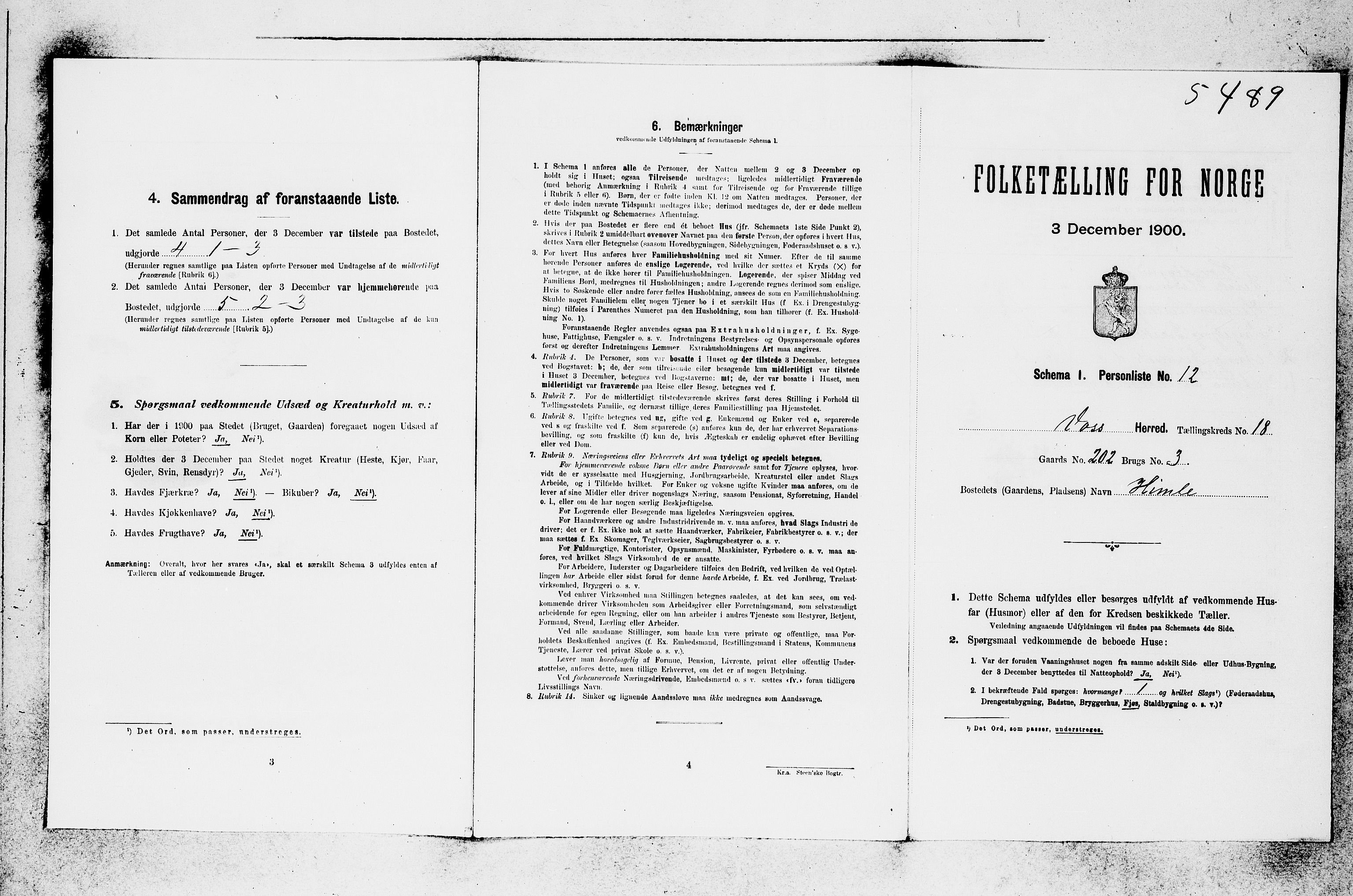 SAB, 1900 census for Voss, 1900, p. 1991